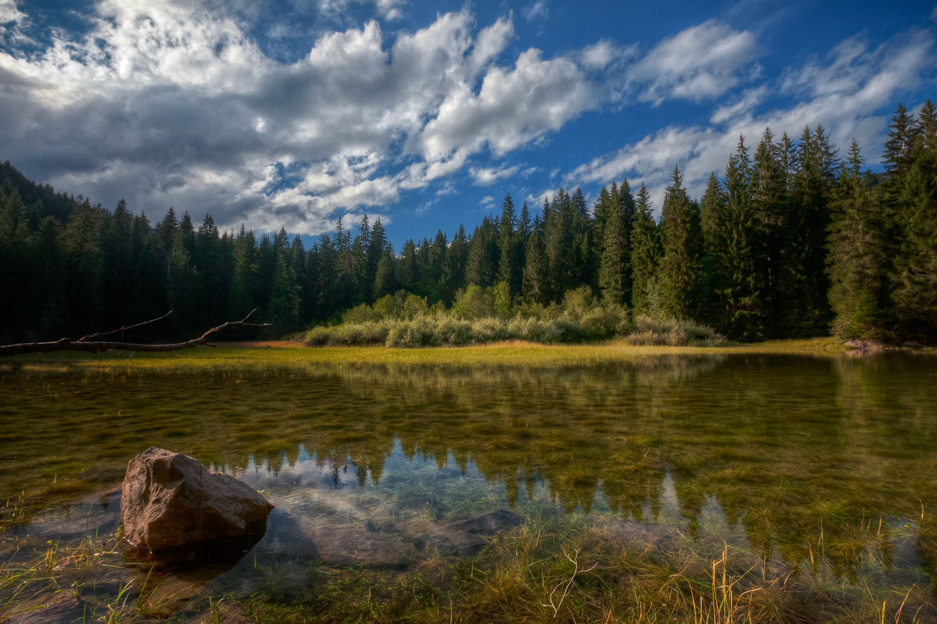 The Swiss Rhine Gorge Route V