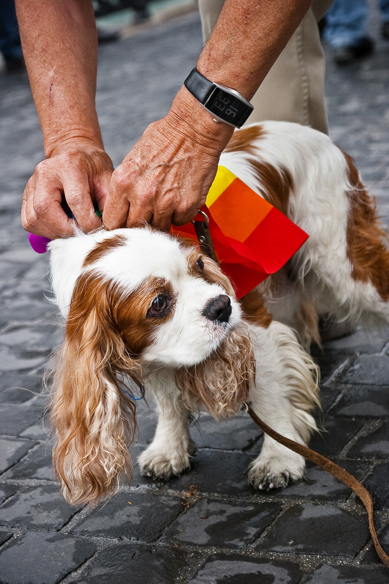 EuroPride Zürich II