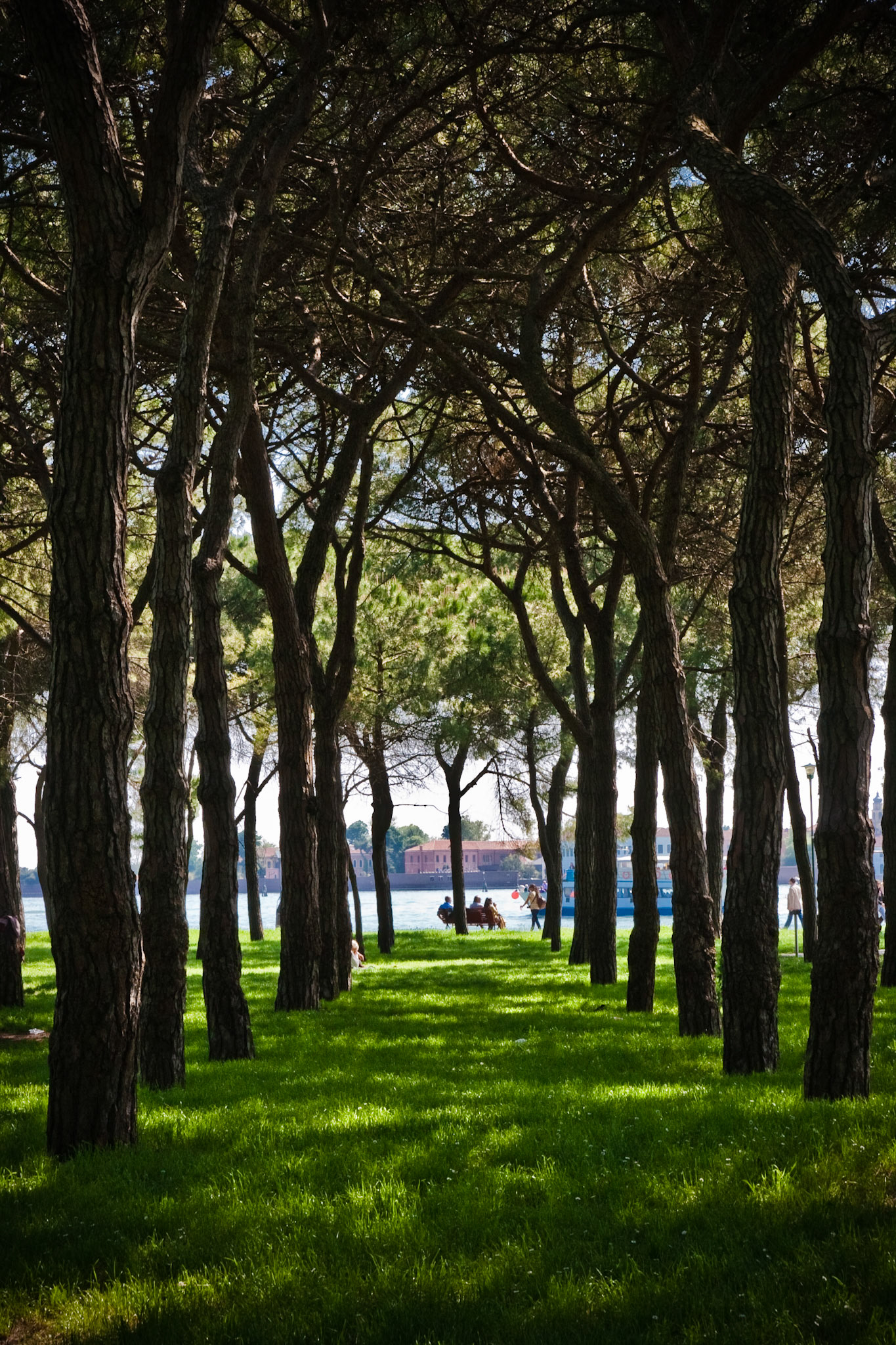 Parco delle Rimembranze, Venice