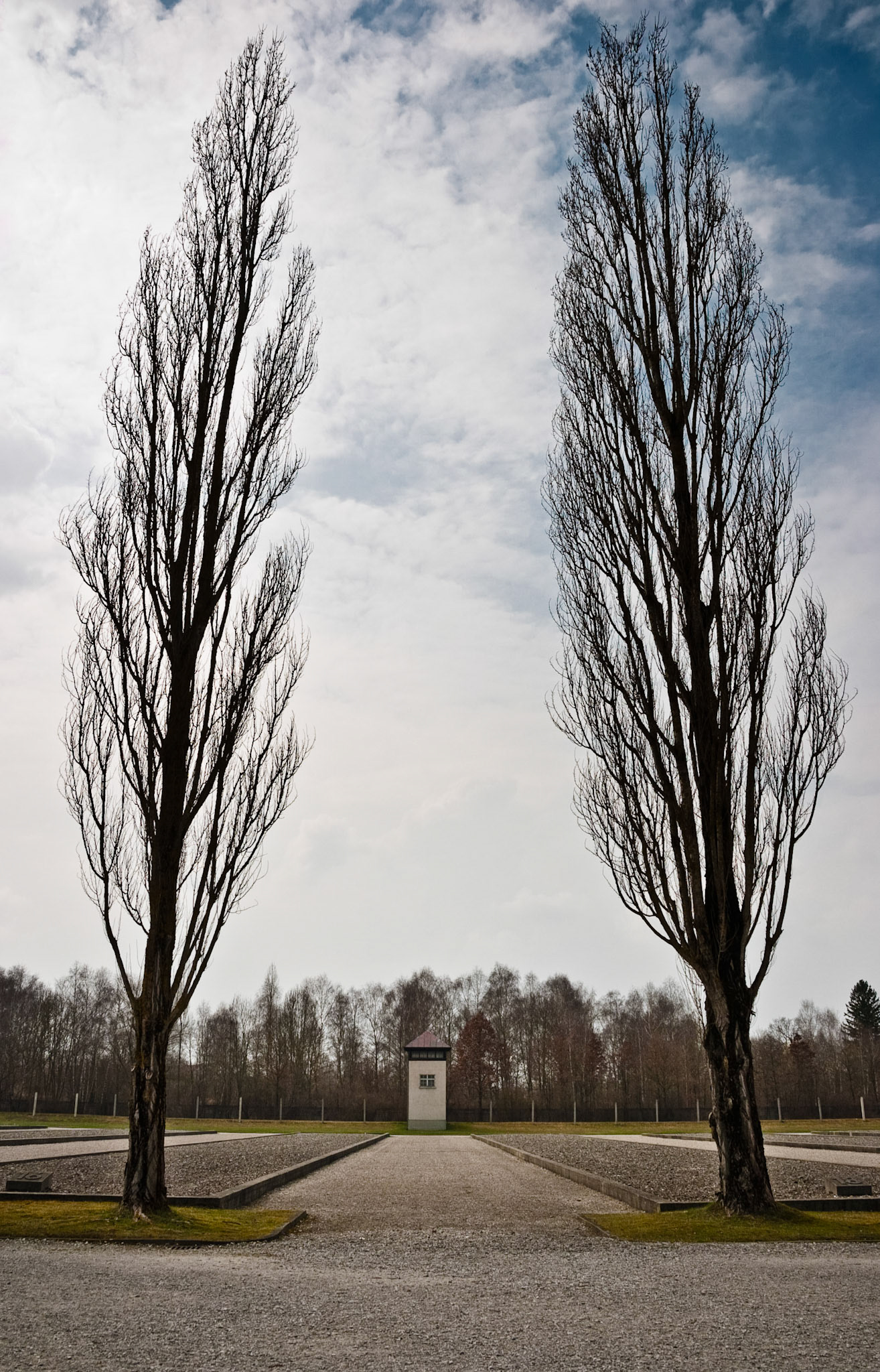 Watchtower and Poplars