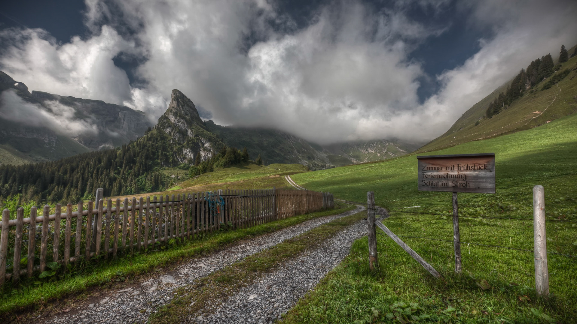 Swiss National Day Hike V