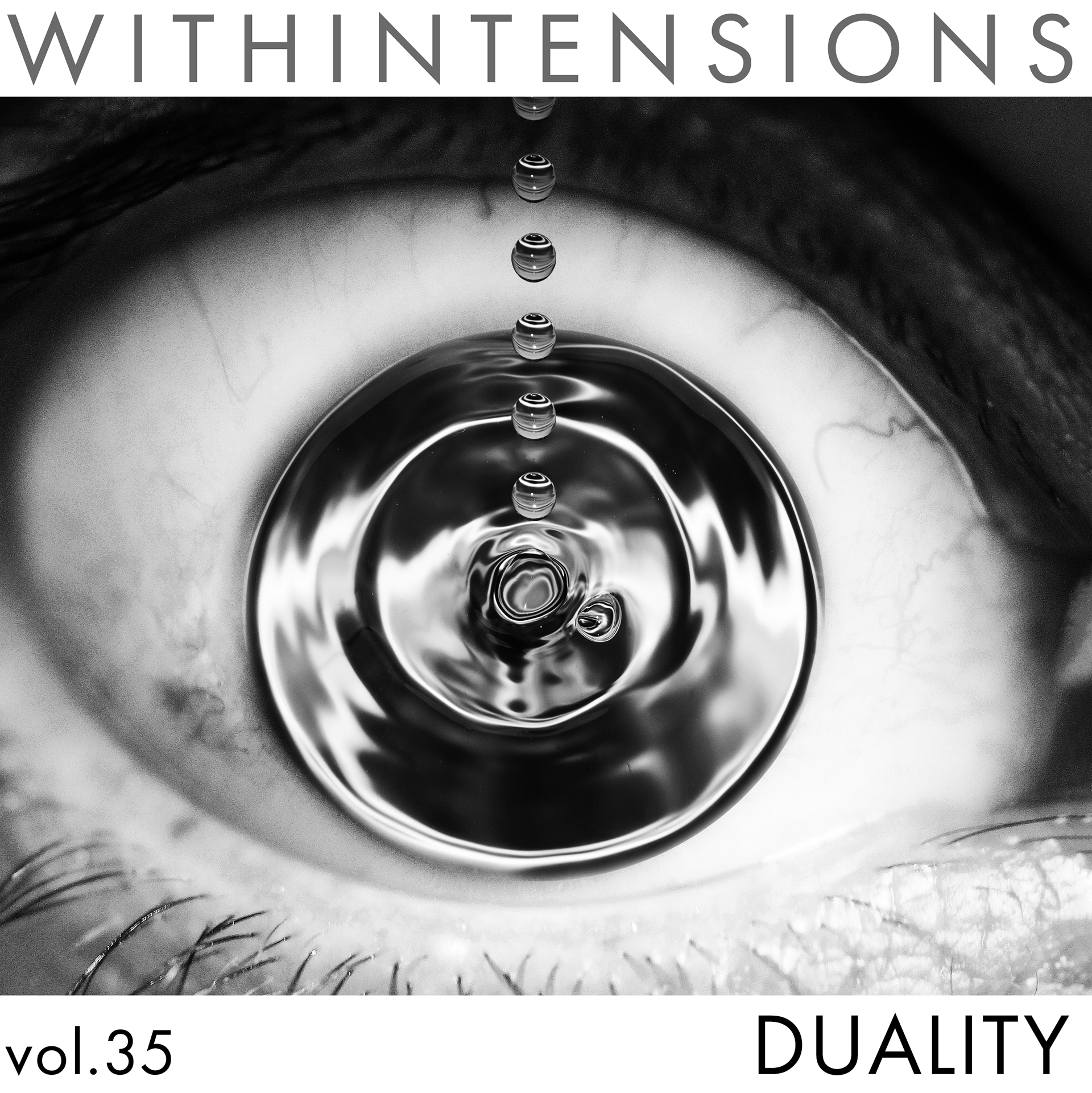 Cover for issue on Duality