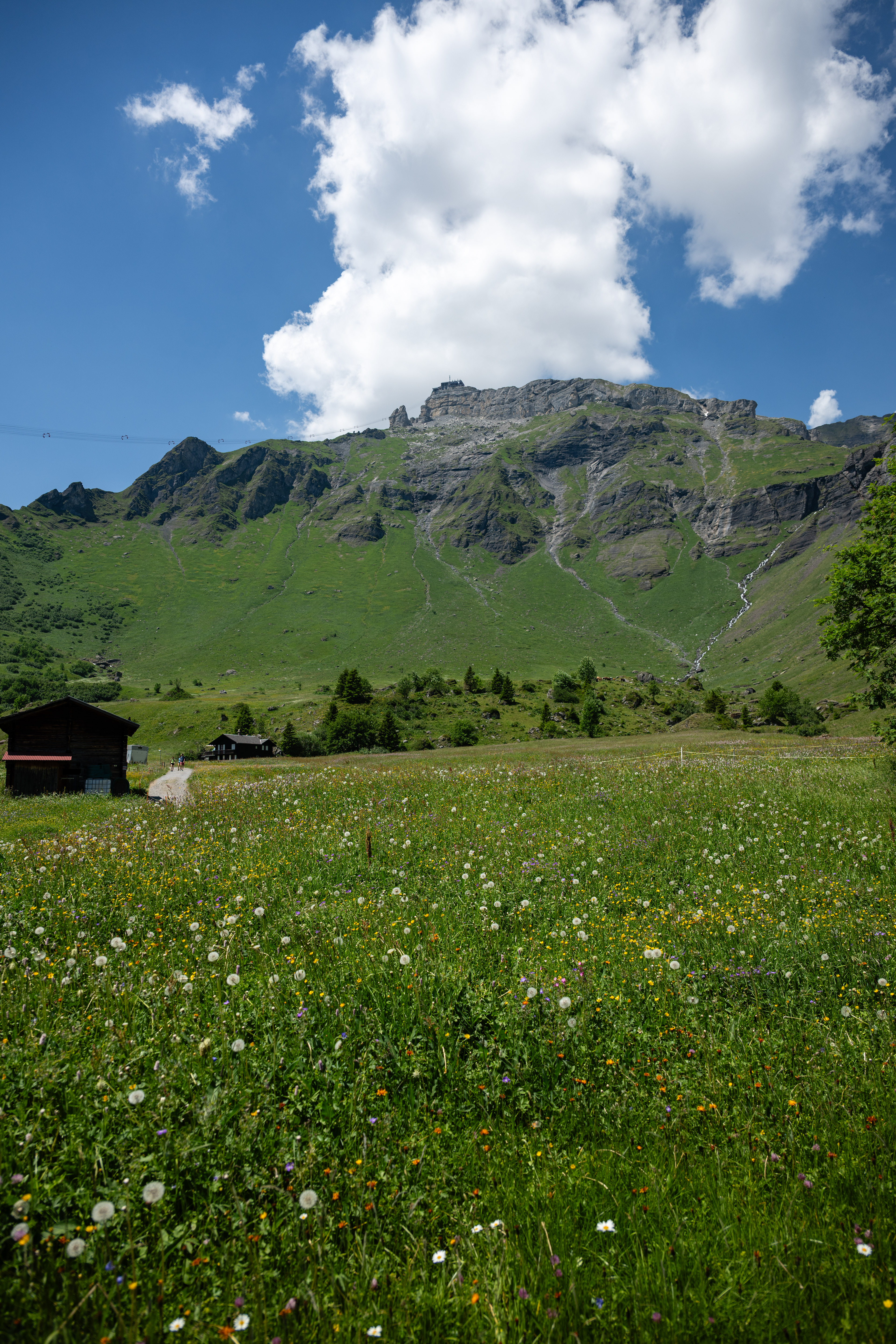 Birg, Mürren