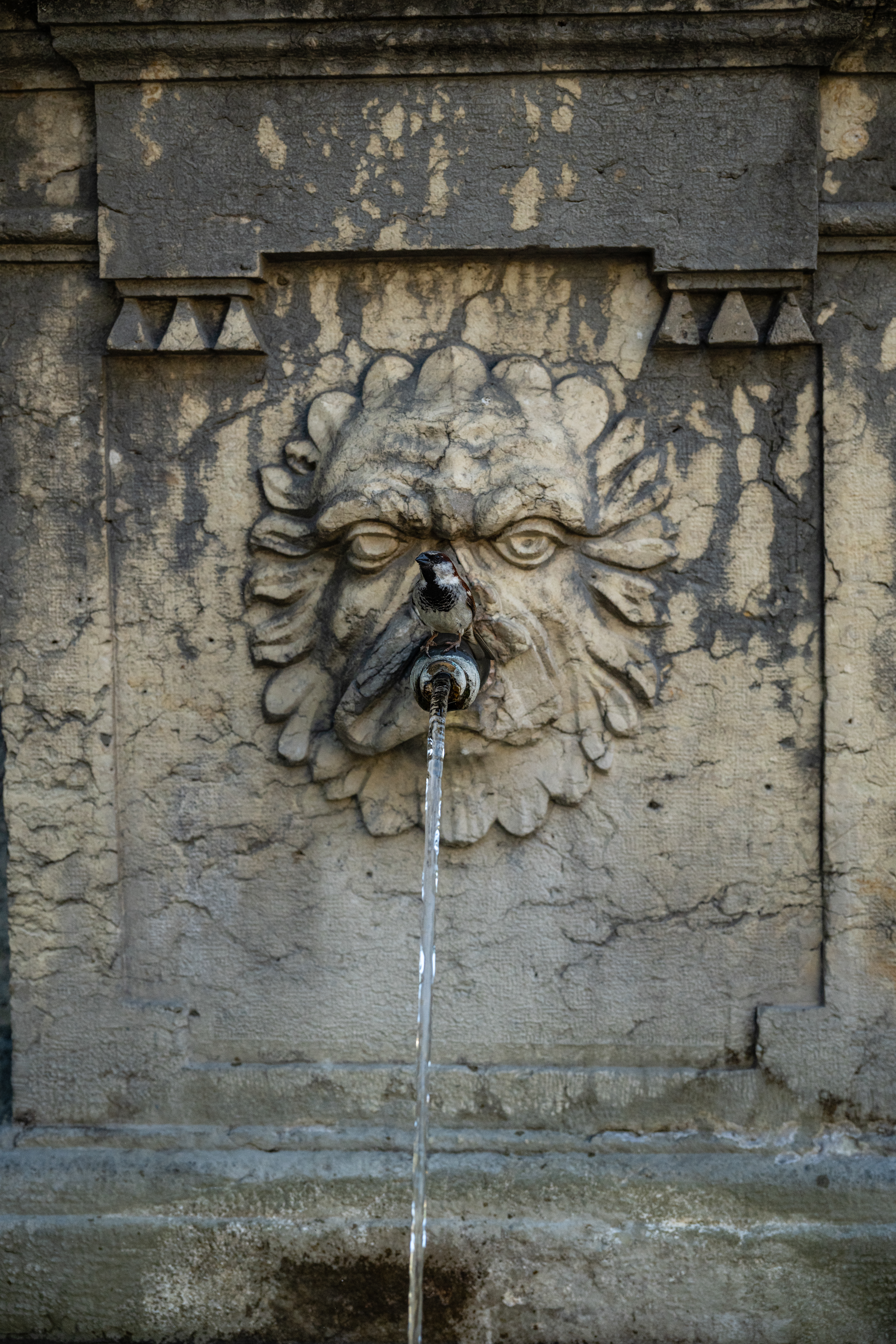 Drinking fountain, Bern