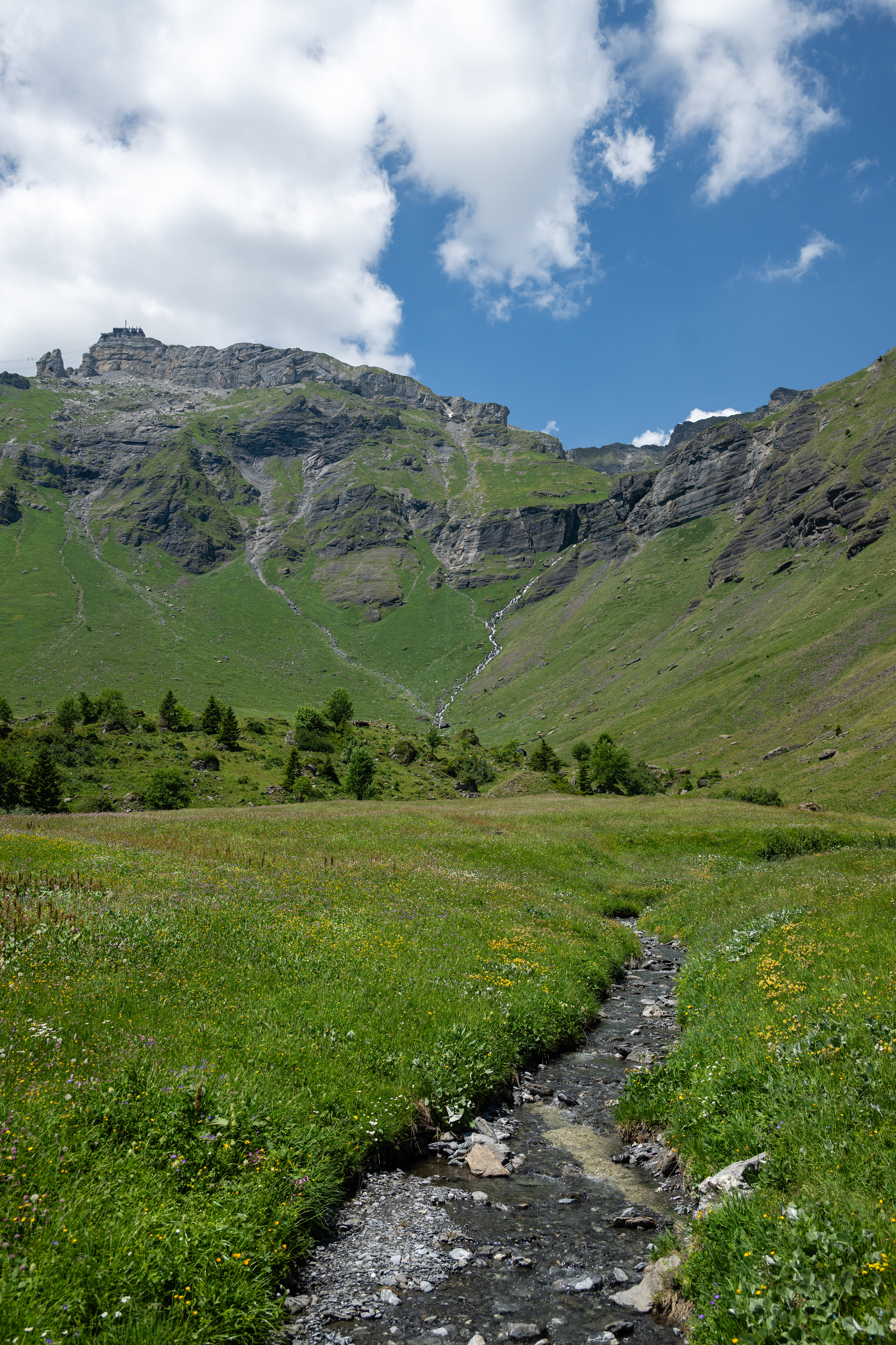 Birg, Mürren