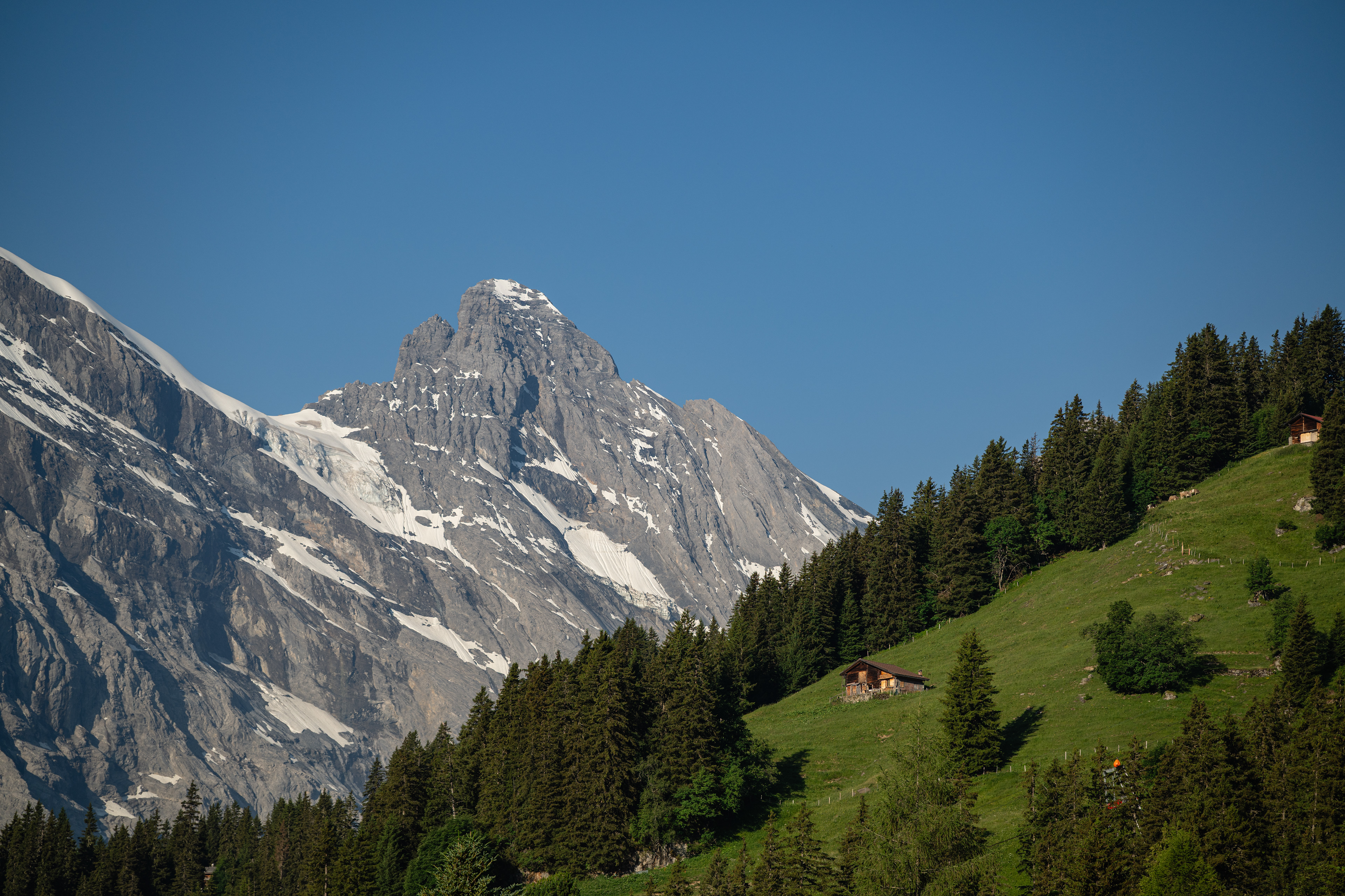 Gspaltenhorn, Mürren