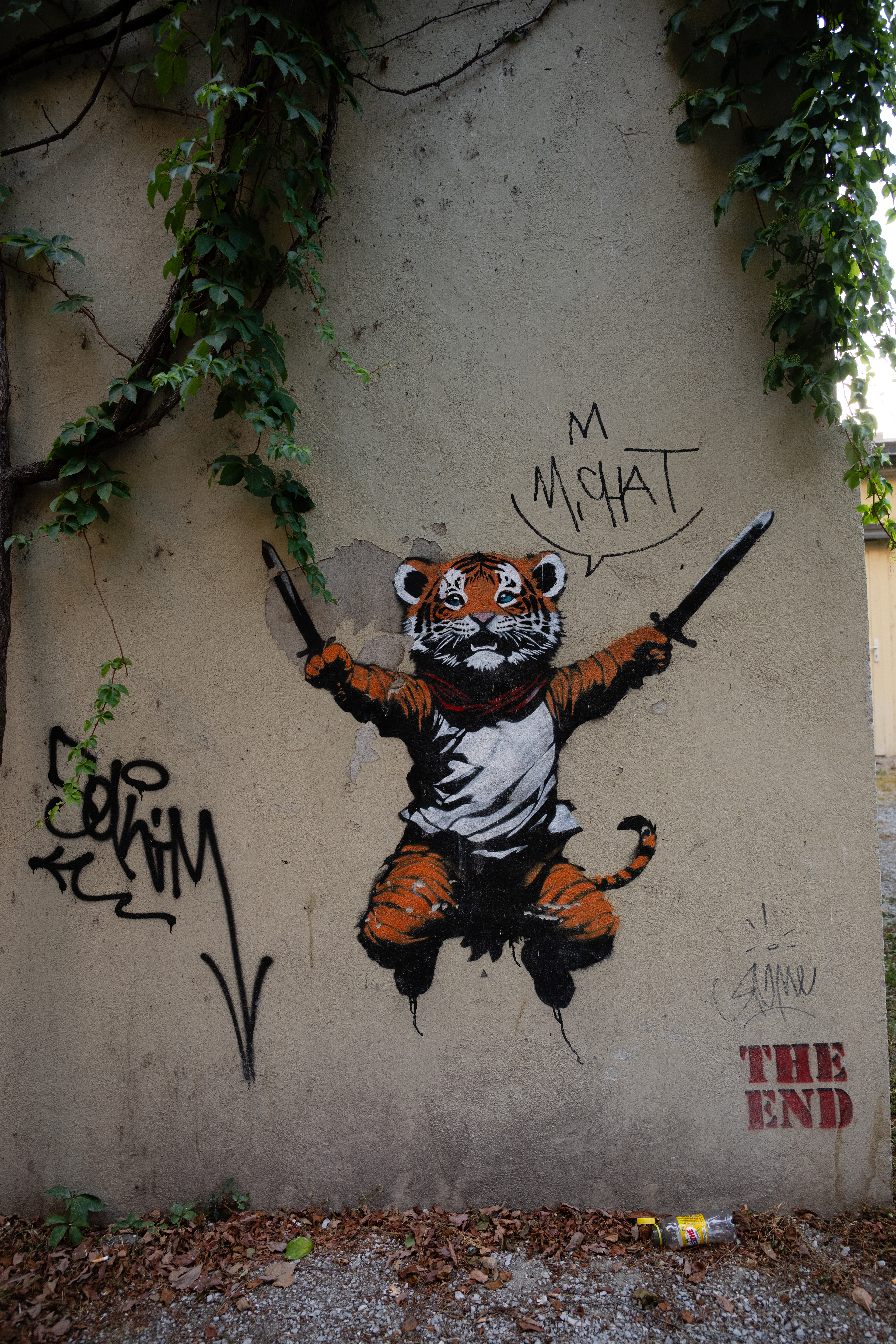 Street art, Lausanne