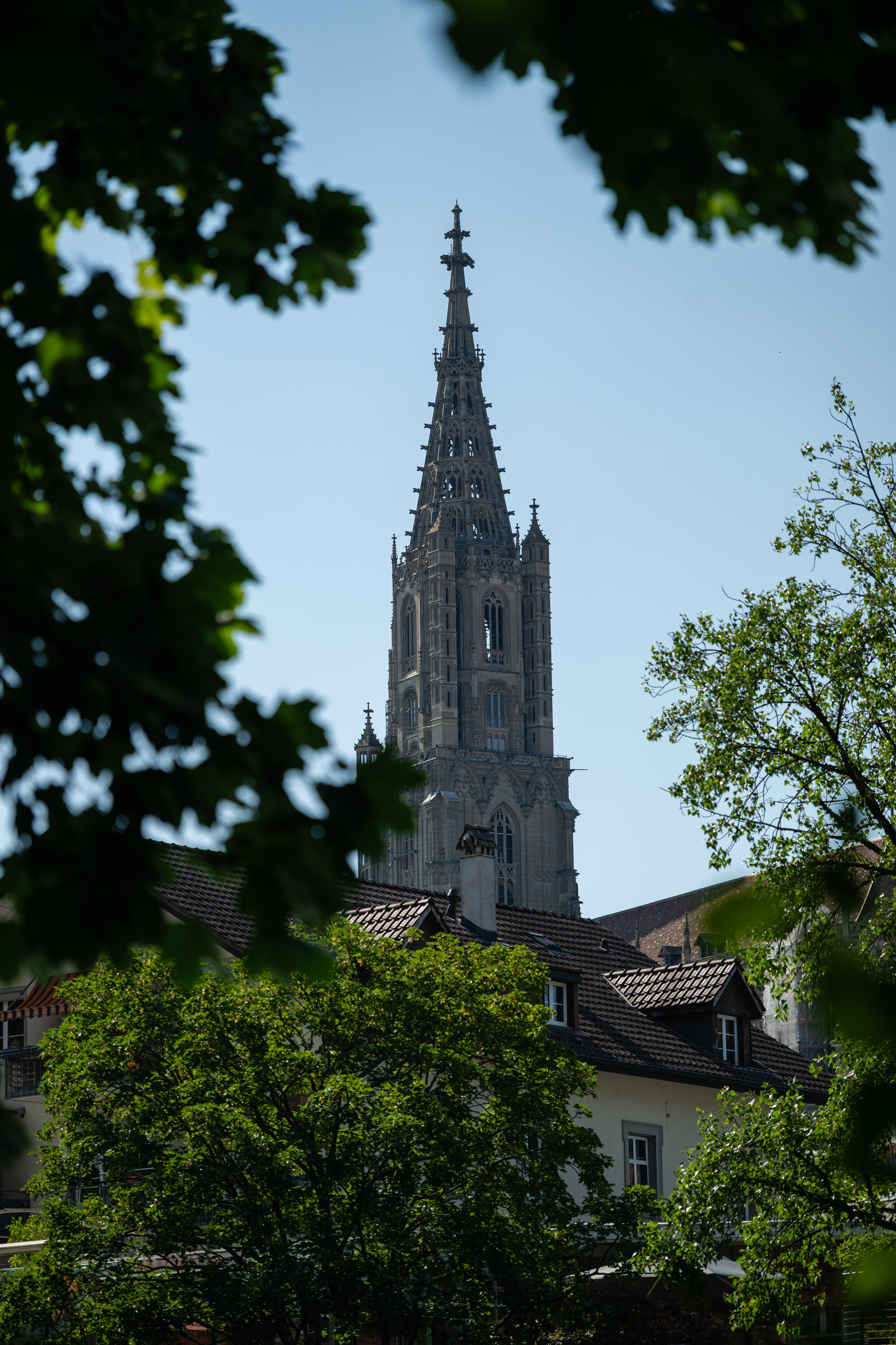 Cathedral of Bern