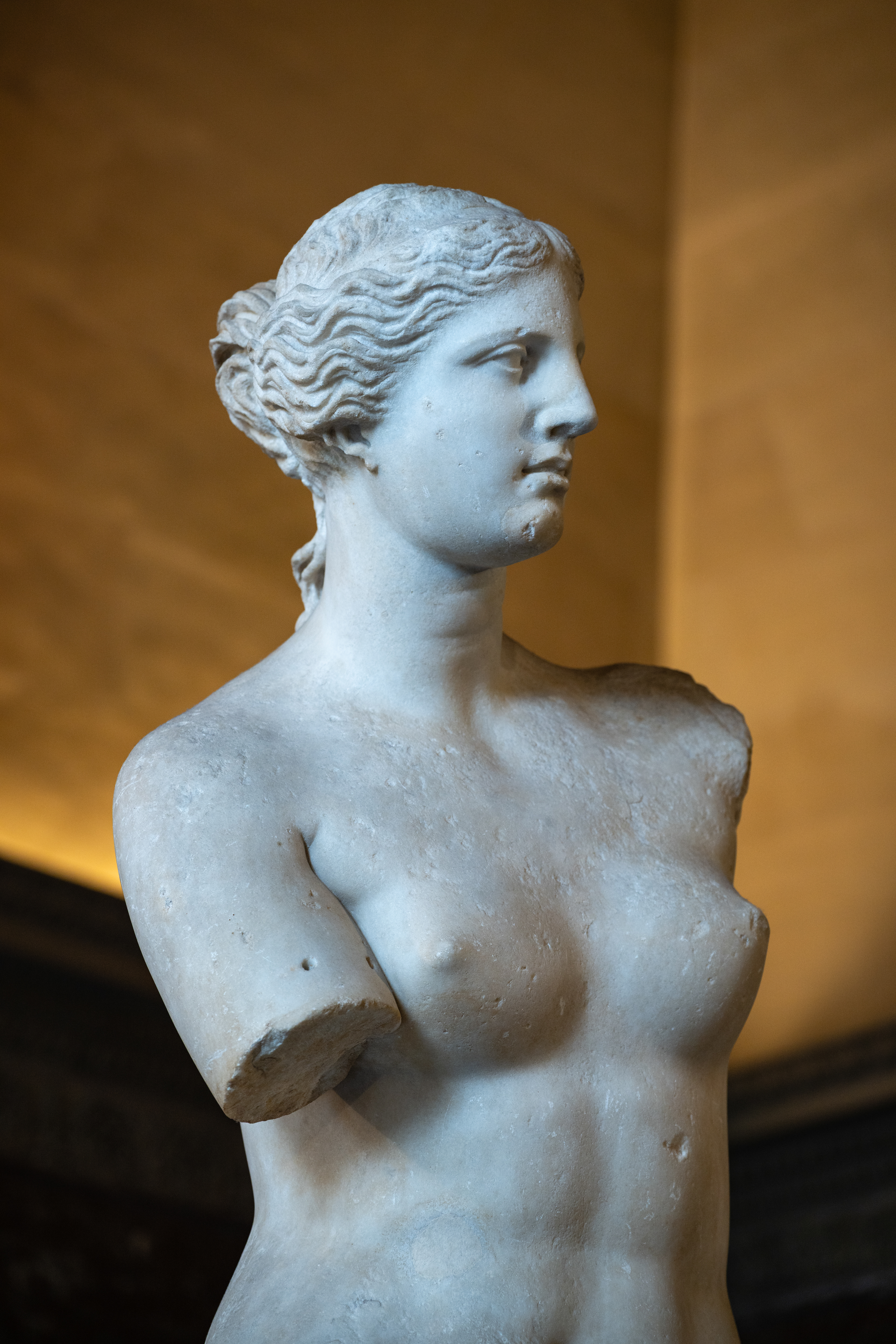 Venus de Milo