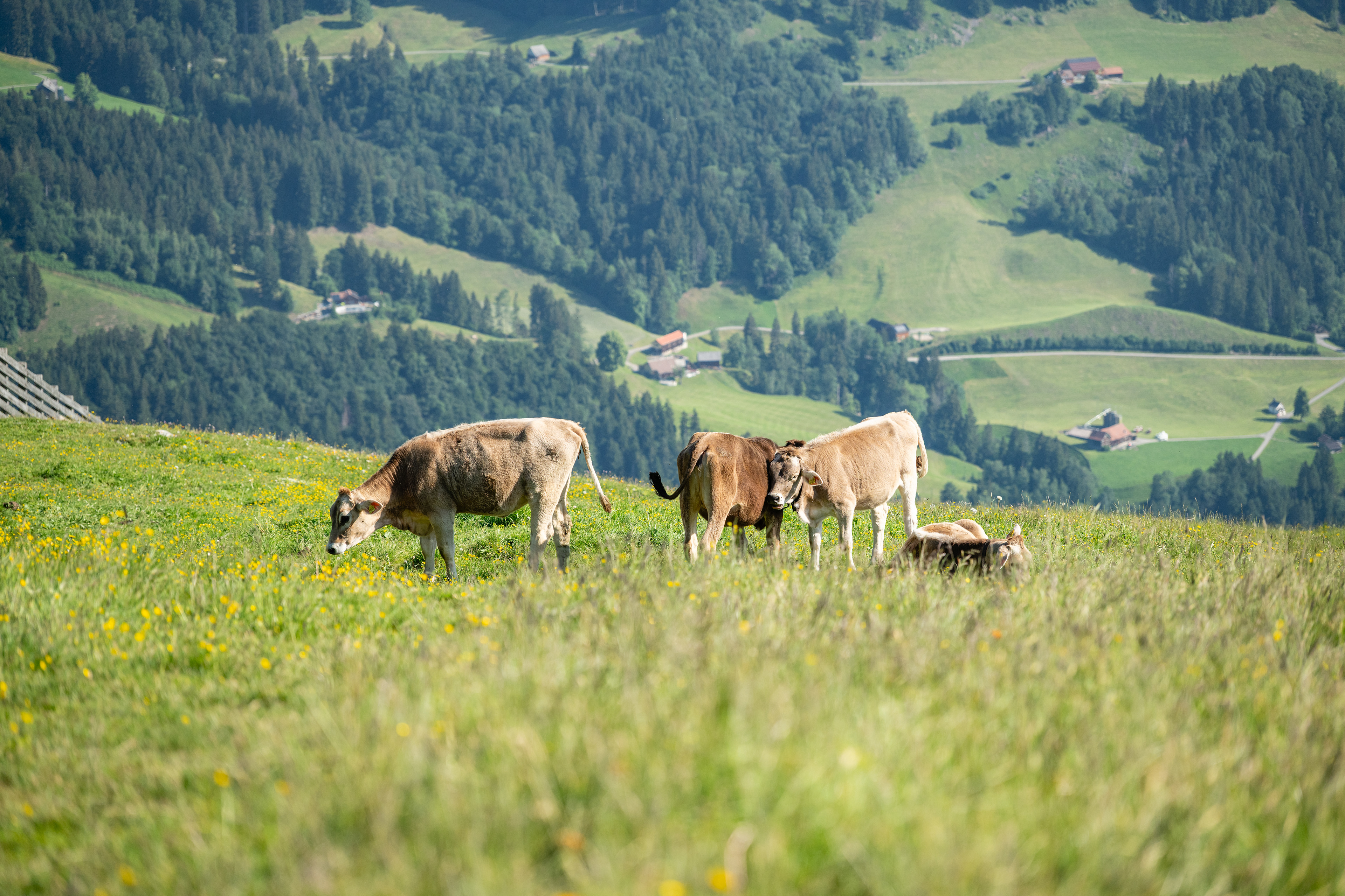 Ebenalp