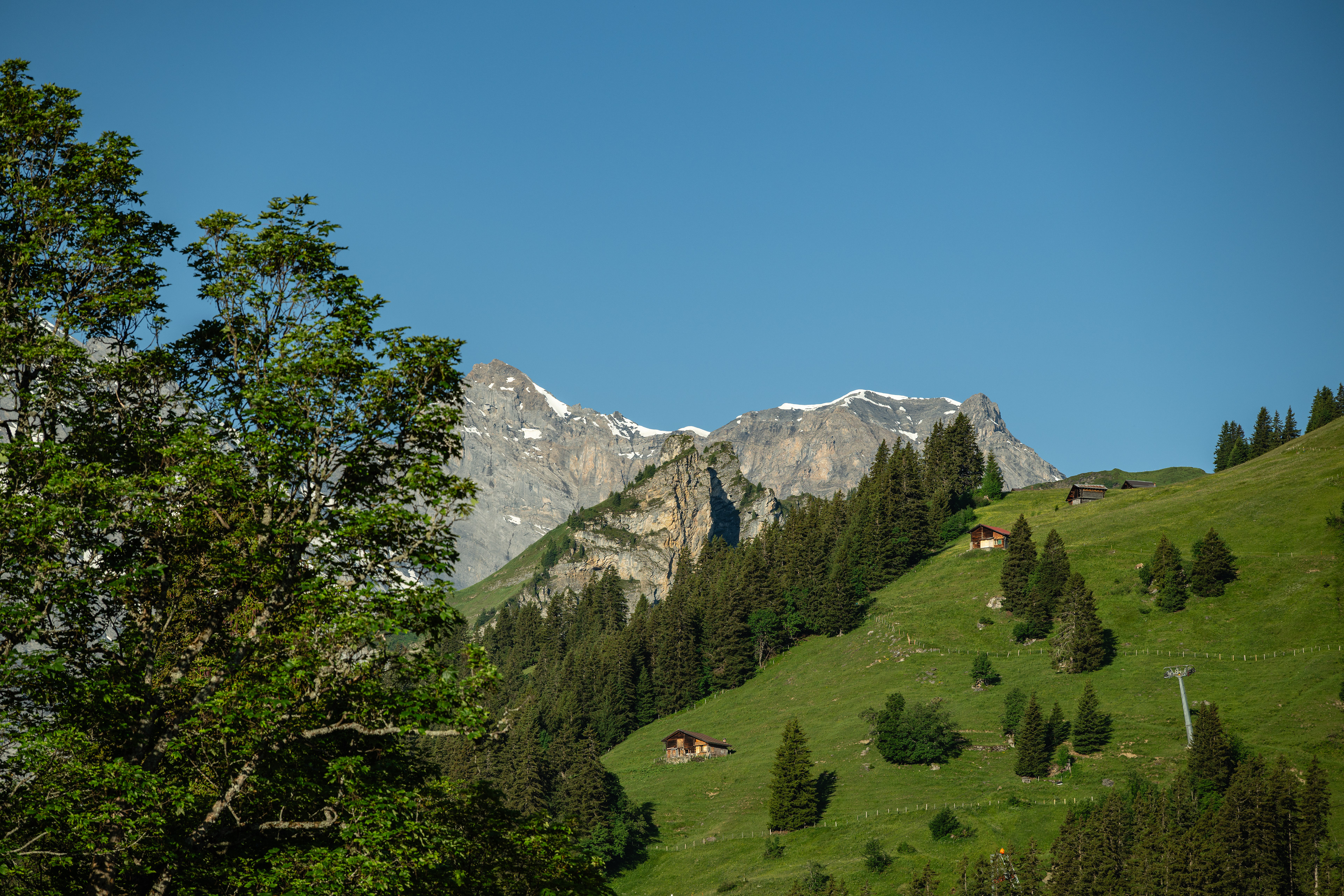 Bütlasse, Europe, Gspaltenhorn, & Sefinahoren (peaks), Mürren