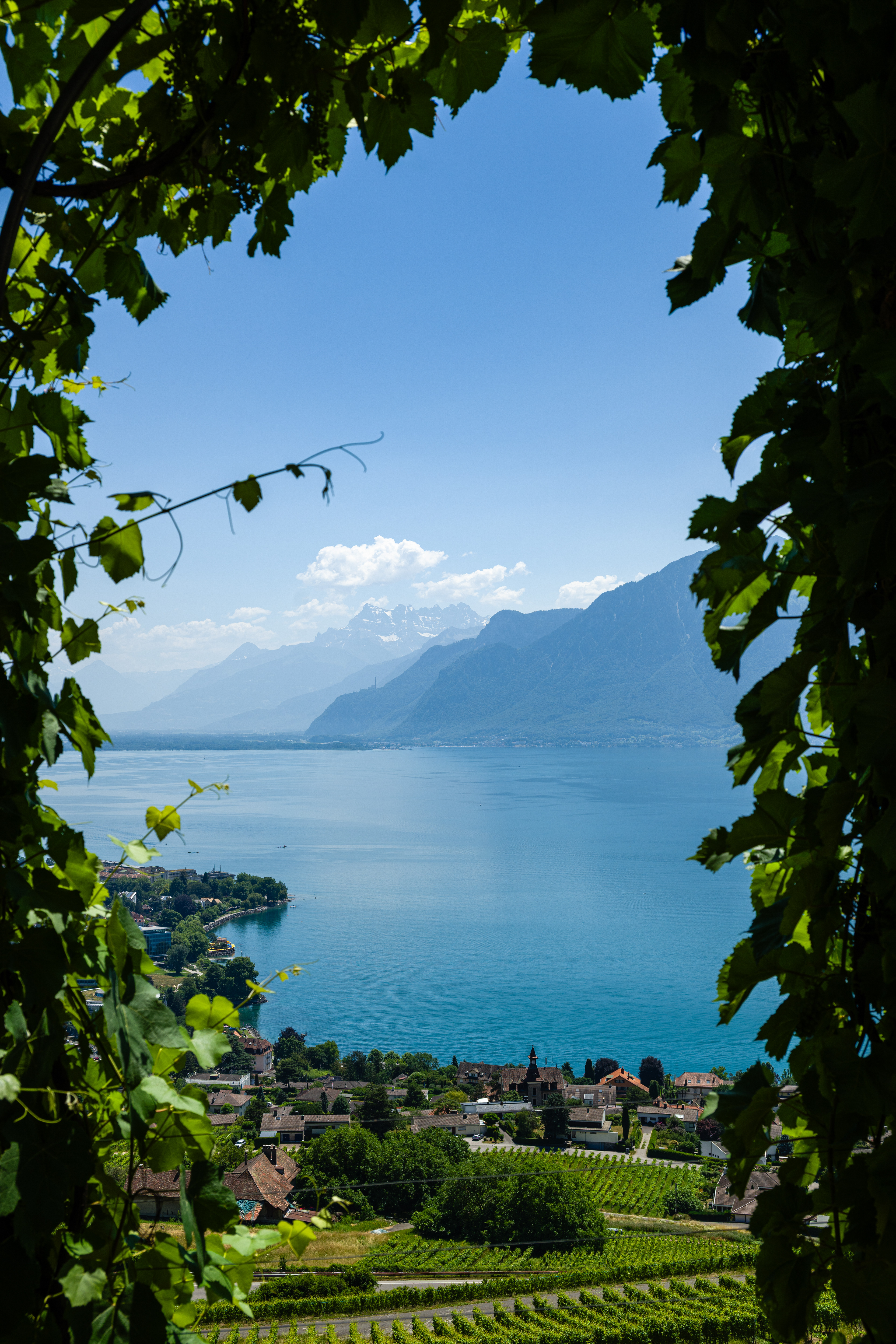 Lake Geneva from Chardonne