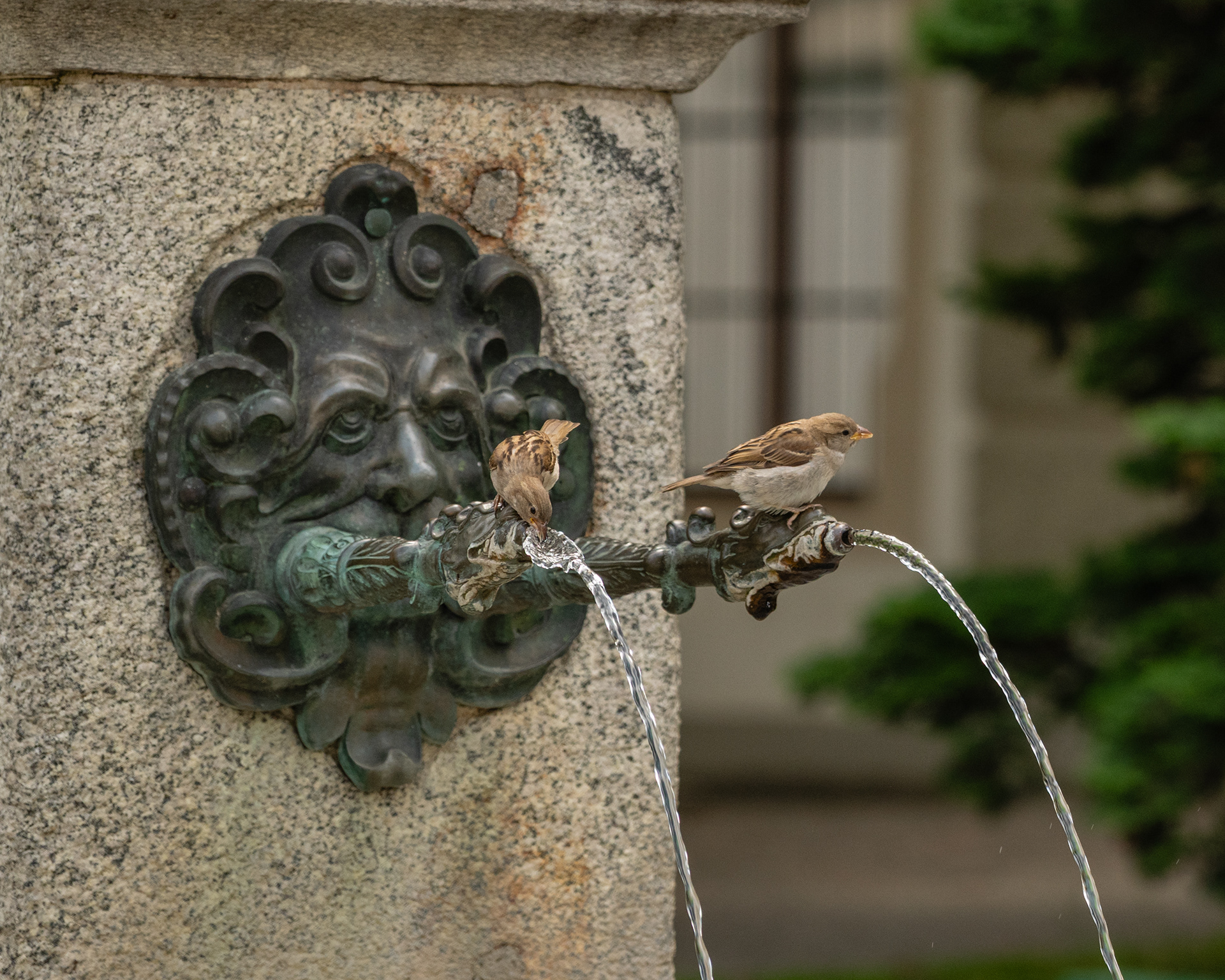 Water fountains of Luzern