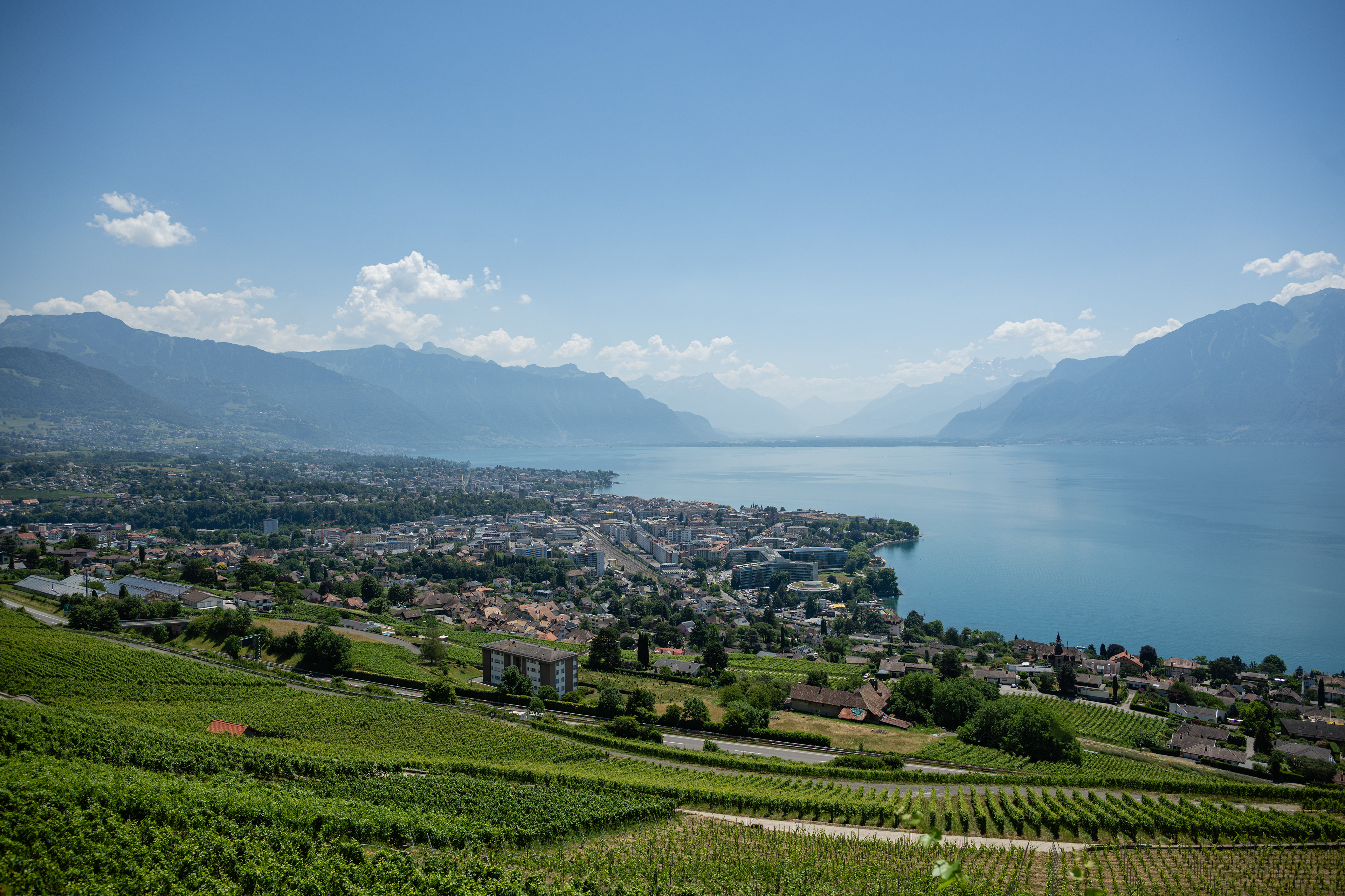 Lake Geneva from Chardonne