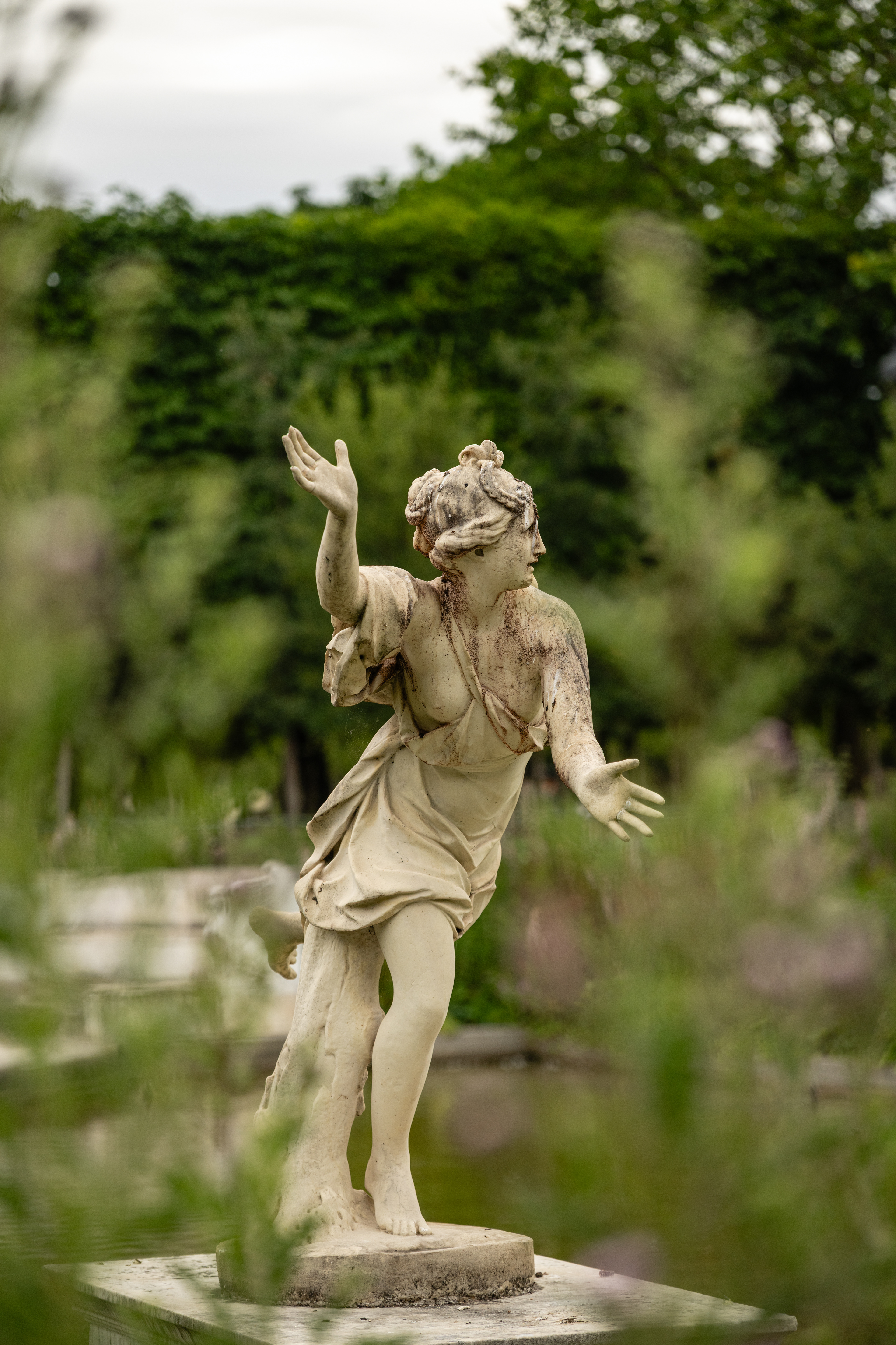 Daphne Pursued by Apollo