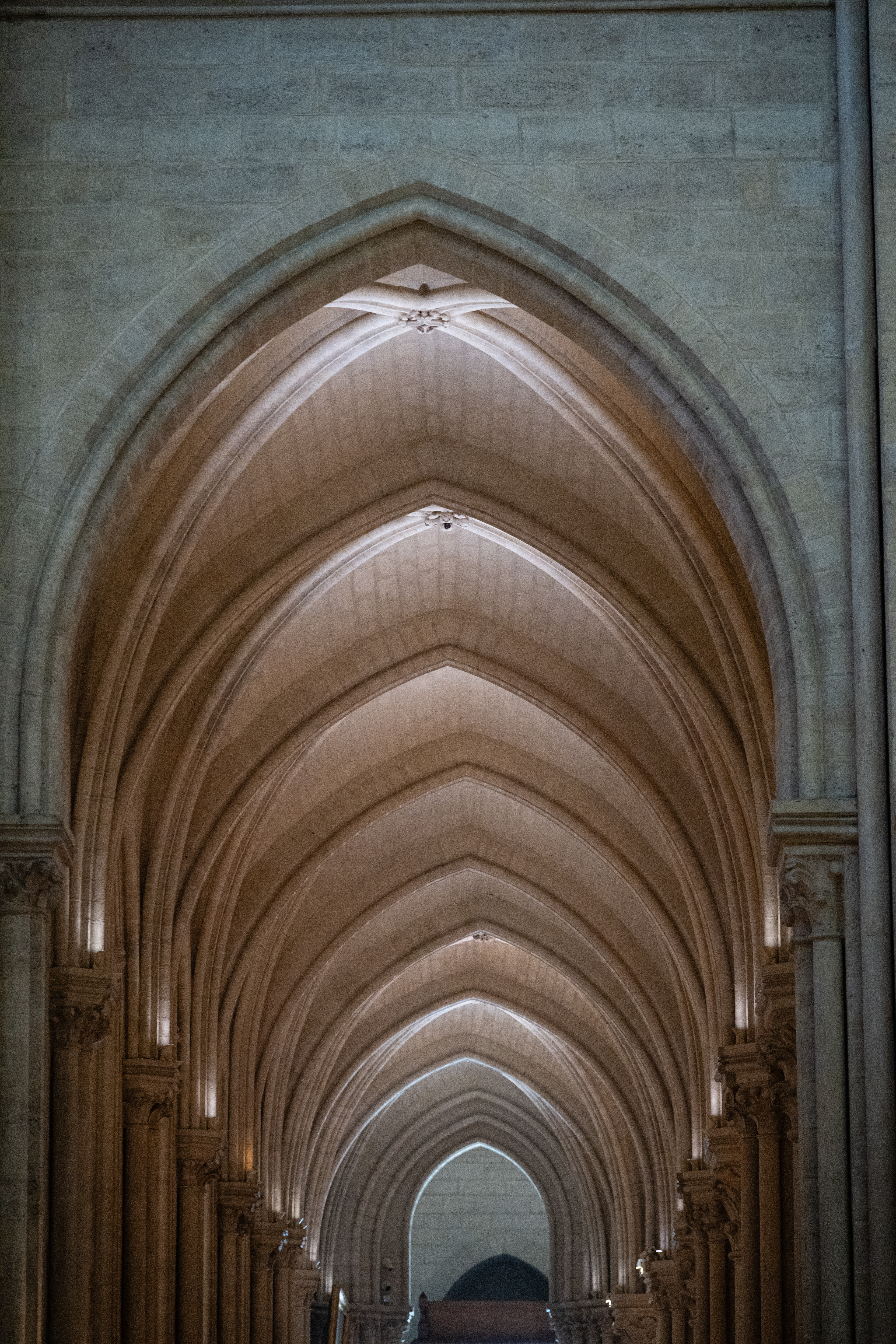 Notre-Dame de Paris