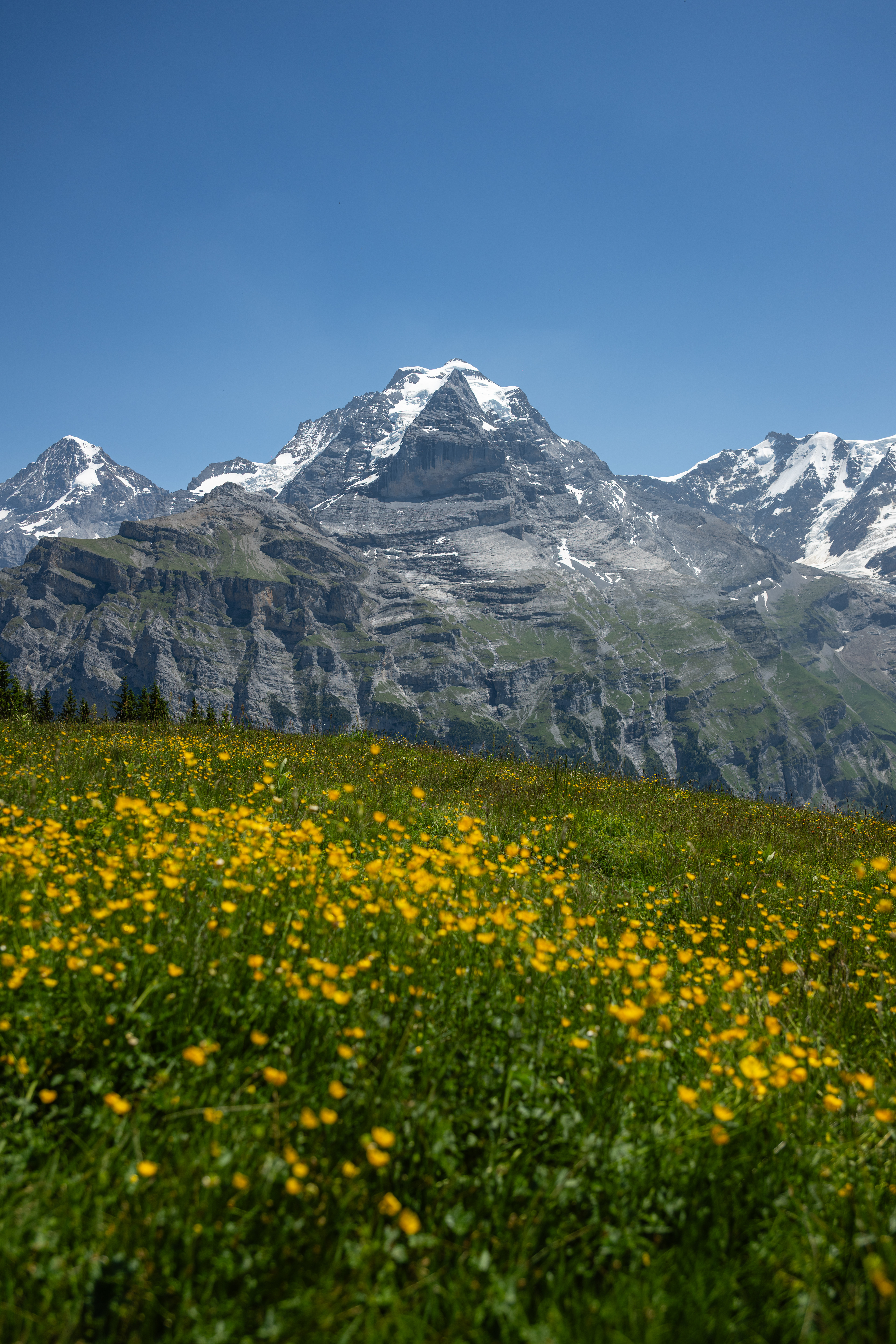 Jungfrau & Mönch, Mürren,