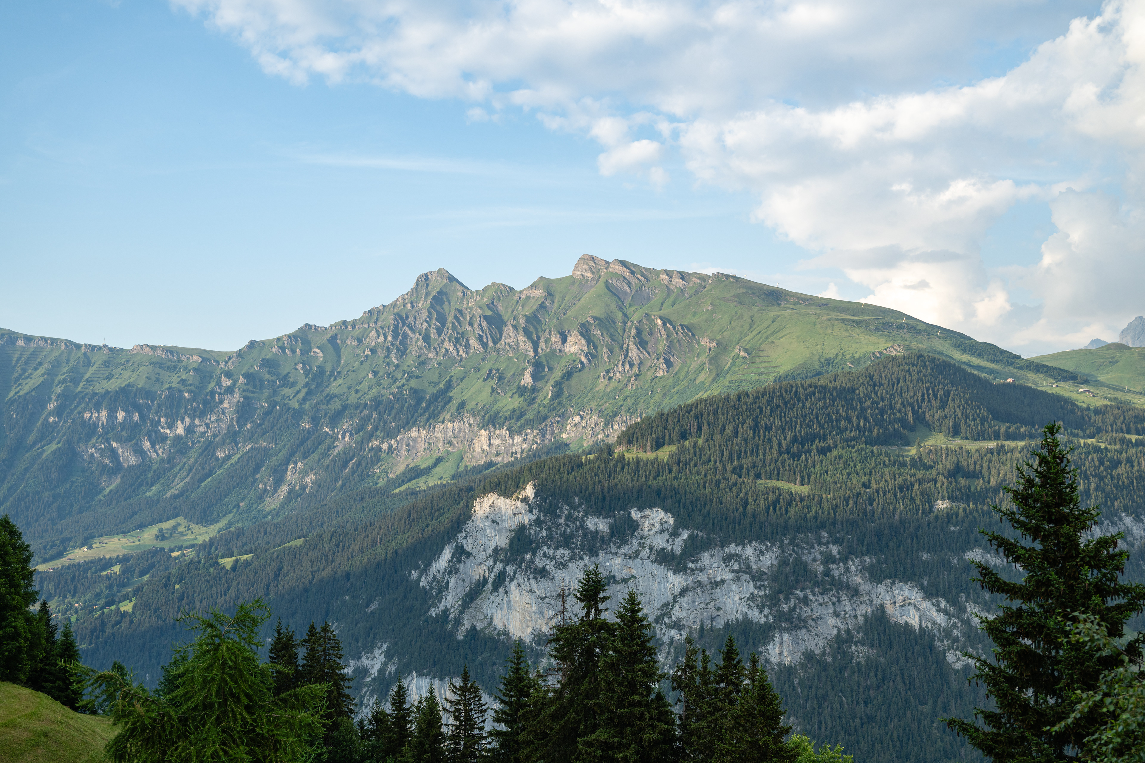 Lauberhorn & Tschuggen, Mürren