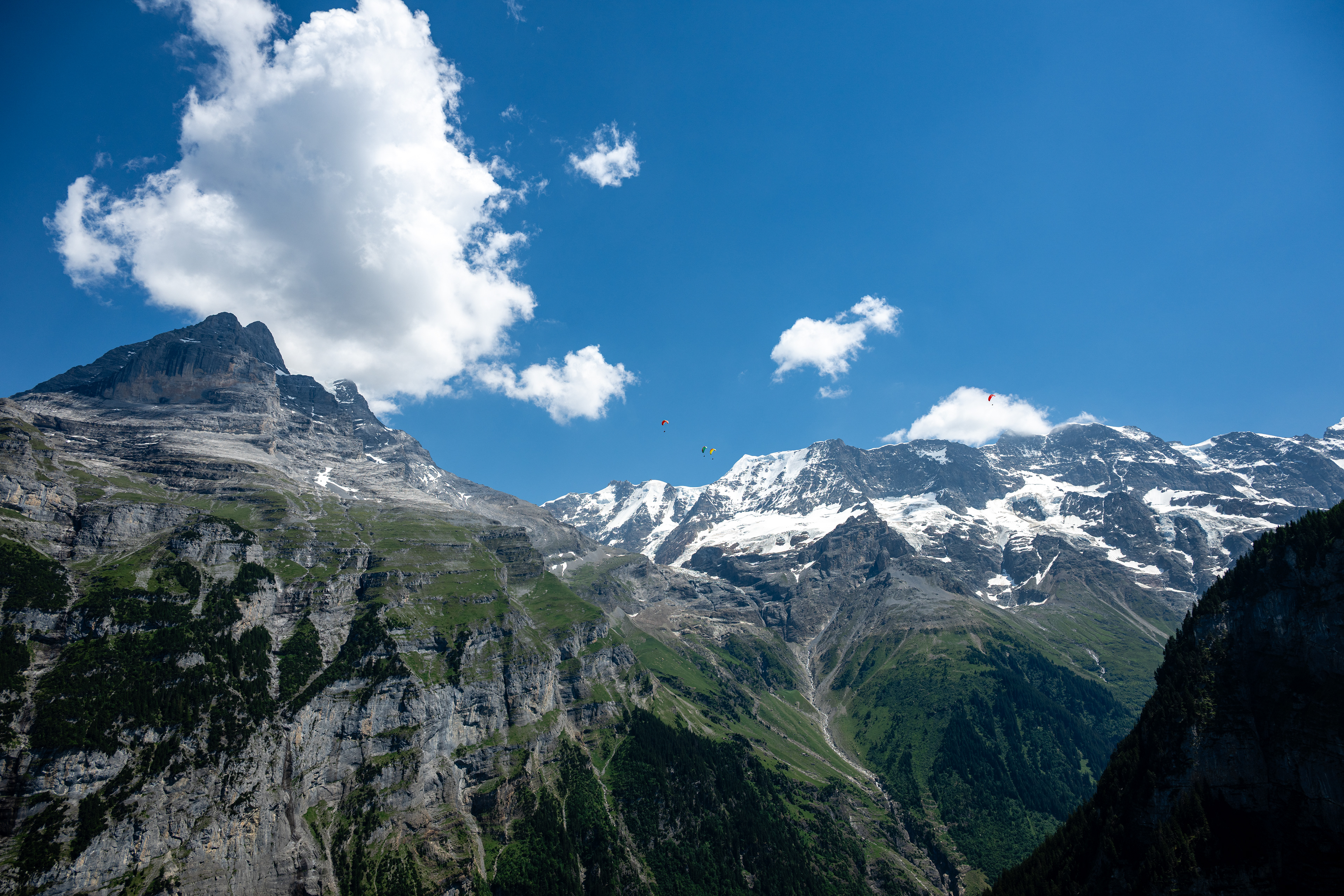 Dirlocherhoren, Ebnefluh, & Jungfrau, Gimmelwald