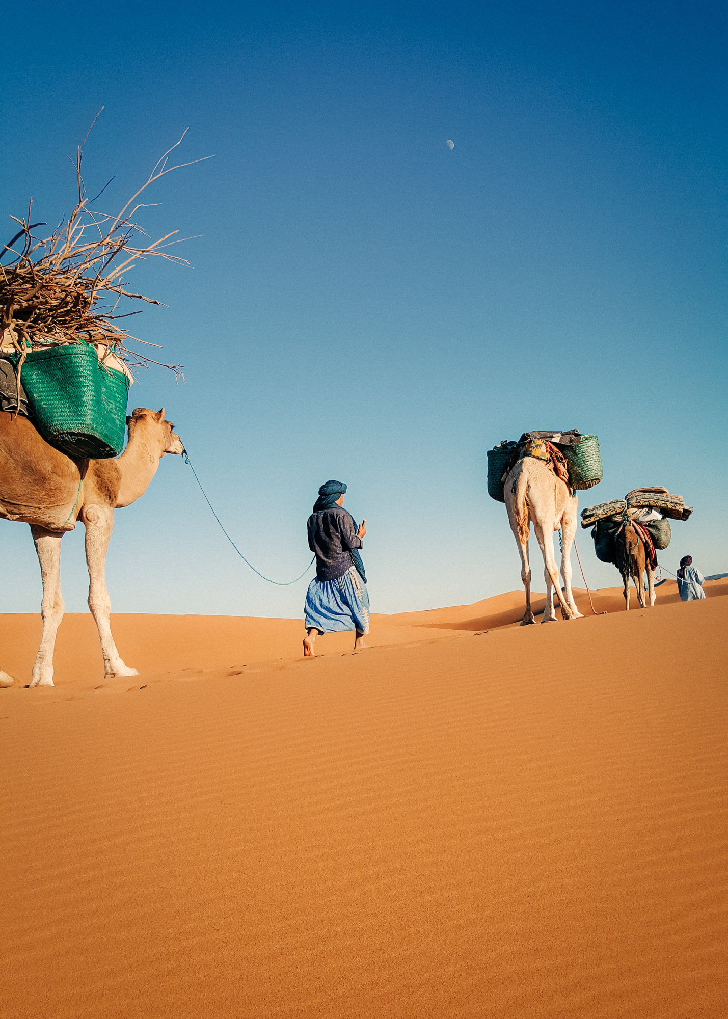 Two Berber men in traditional clothes walk through the Sahara desert with camels