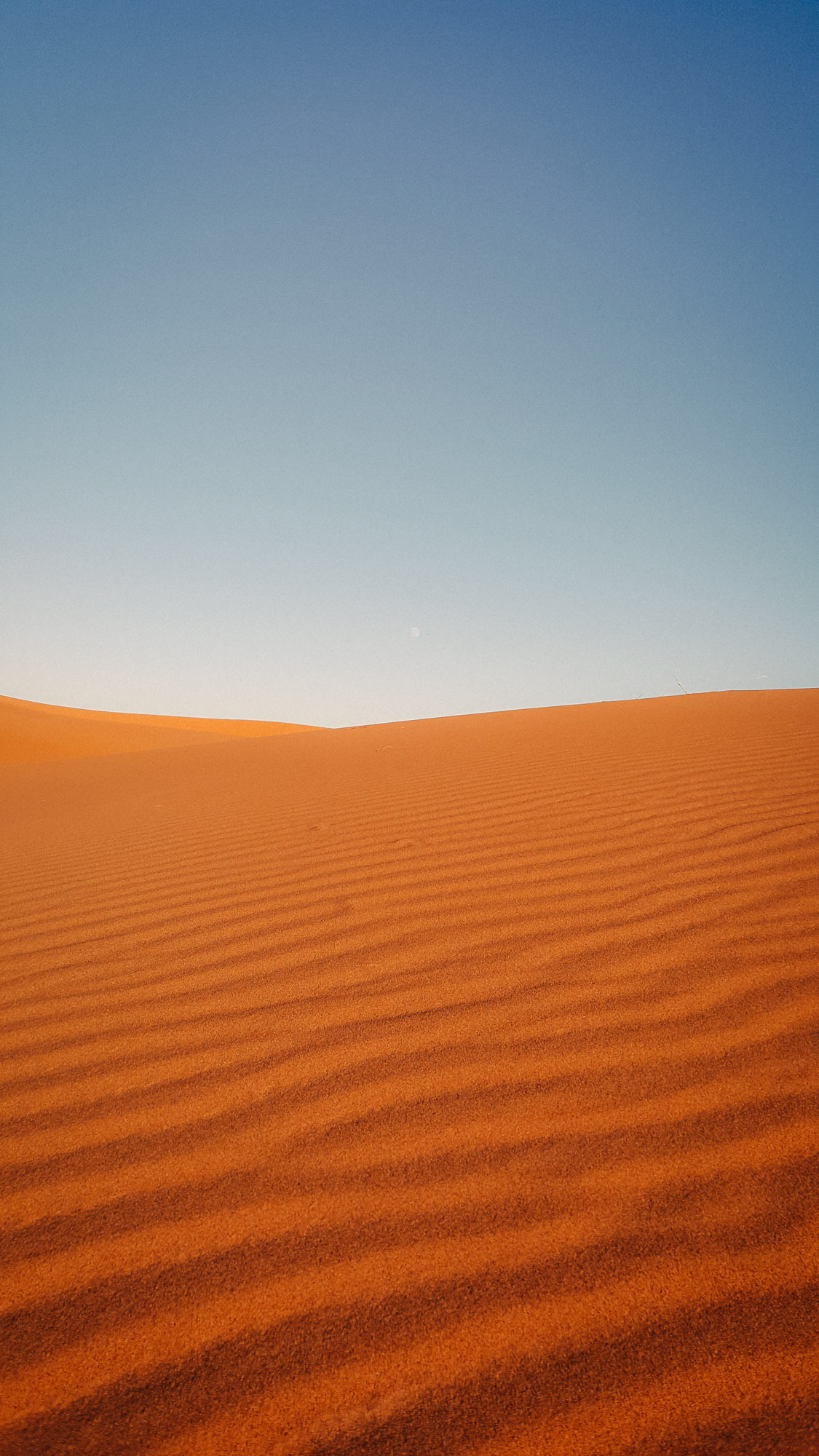 Ripples in the red Sahara sand under a bright blue sky
