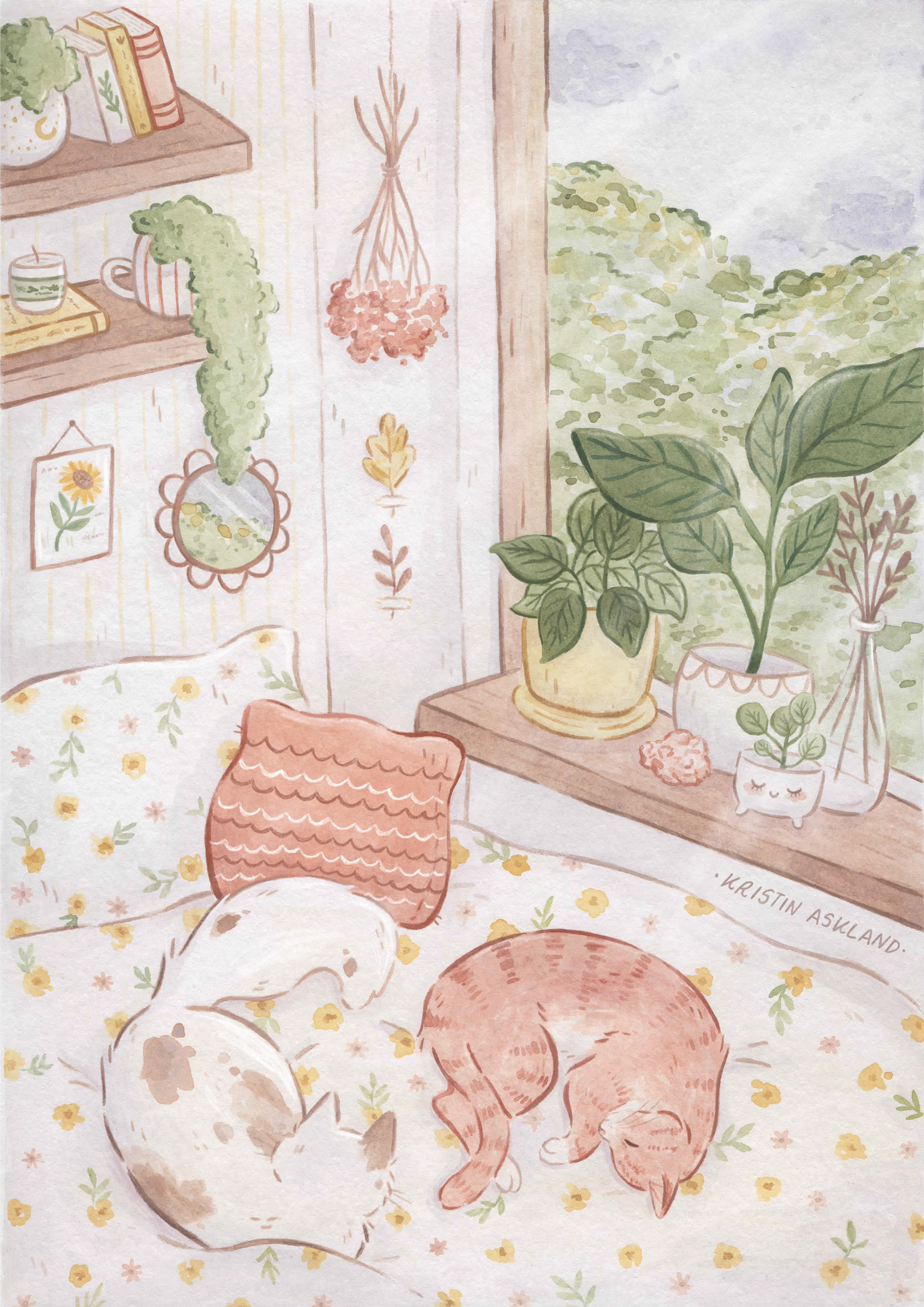 Lazy Mornings