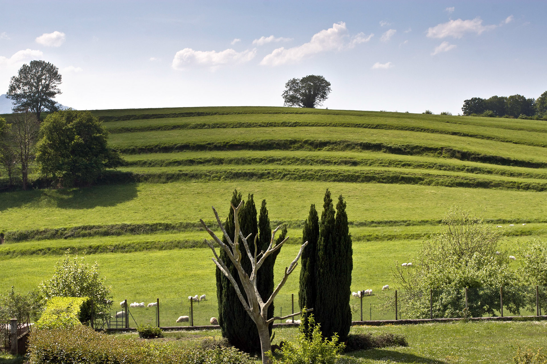 Pays Basque : colline à Ainhoa