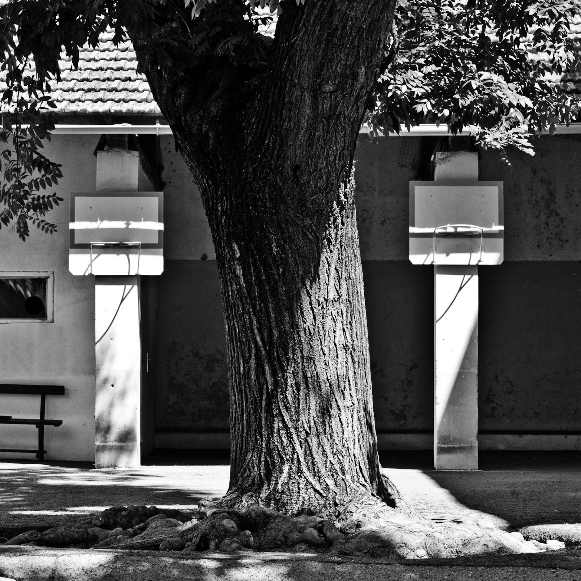 La Garde-Adhémar : cour d'école
