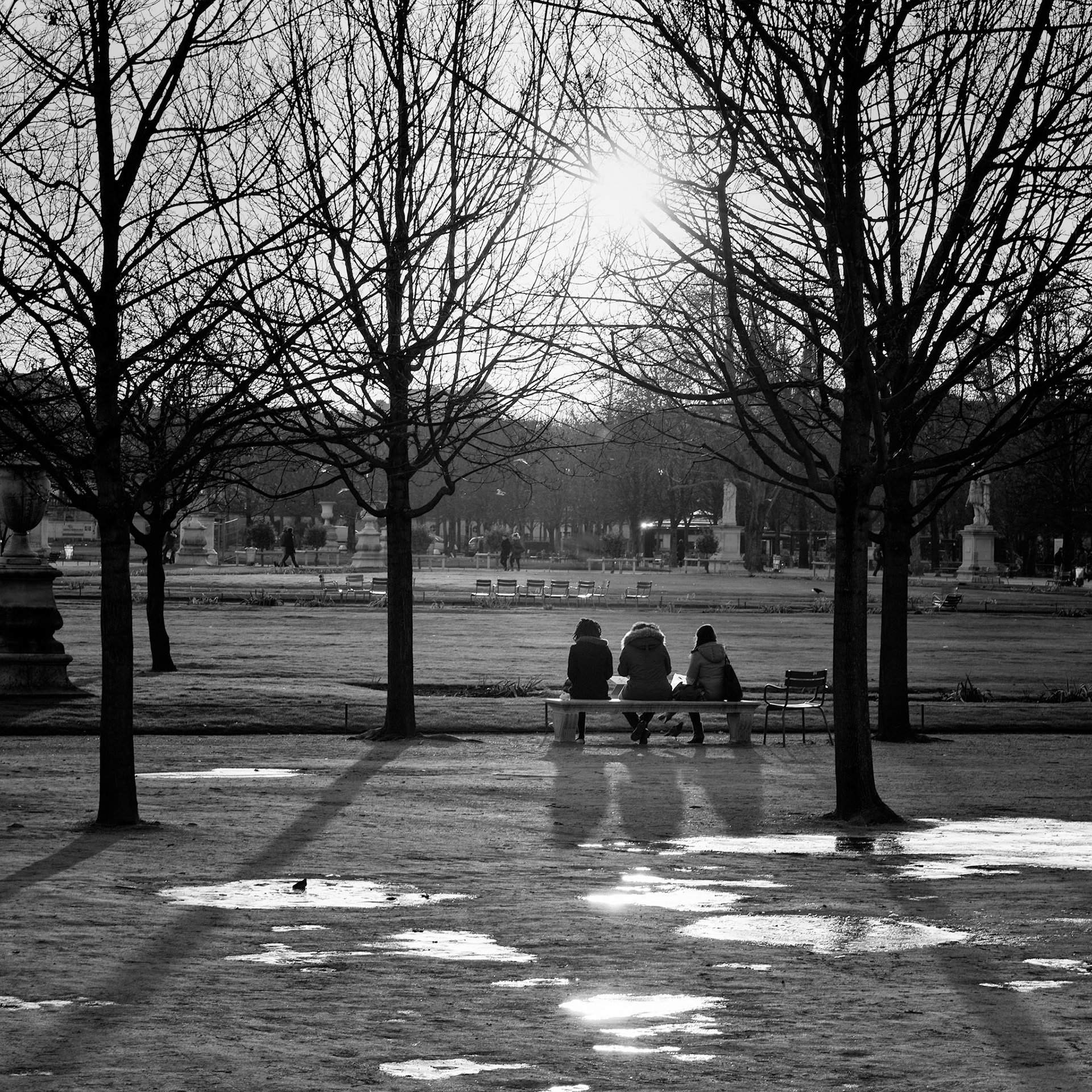 Tuileries : soleil d'hiver après la pluie