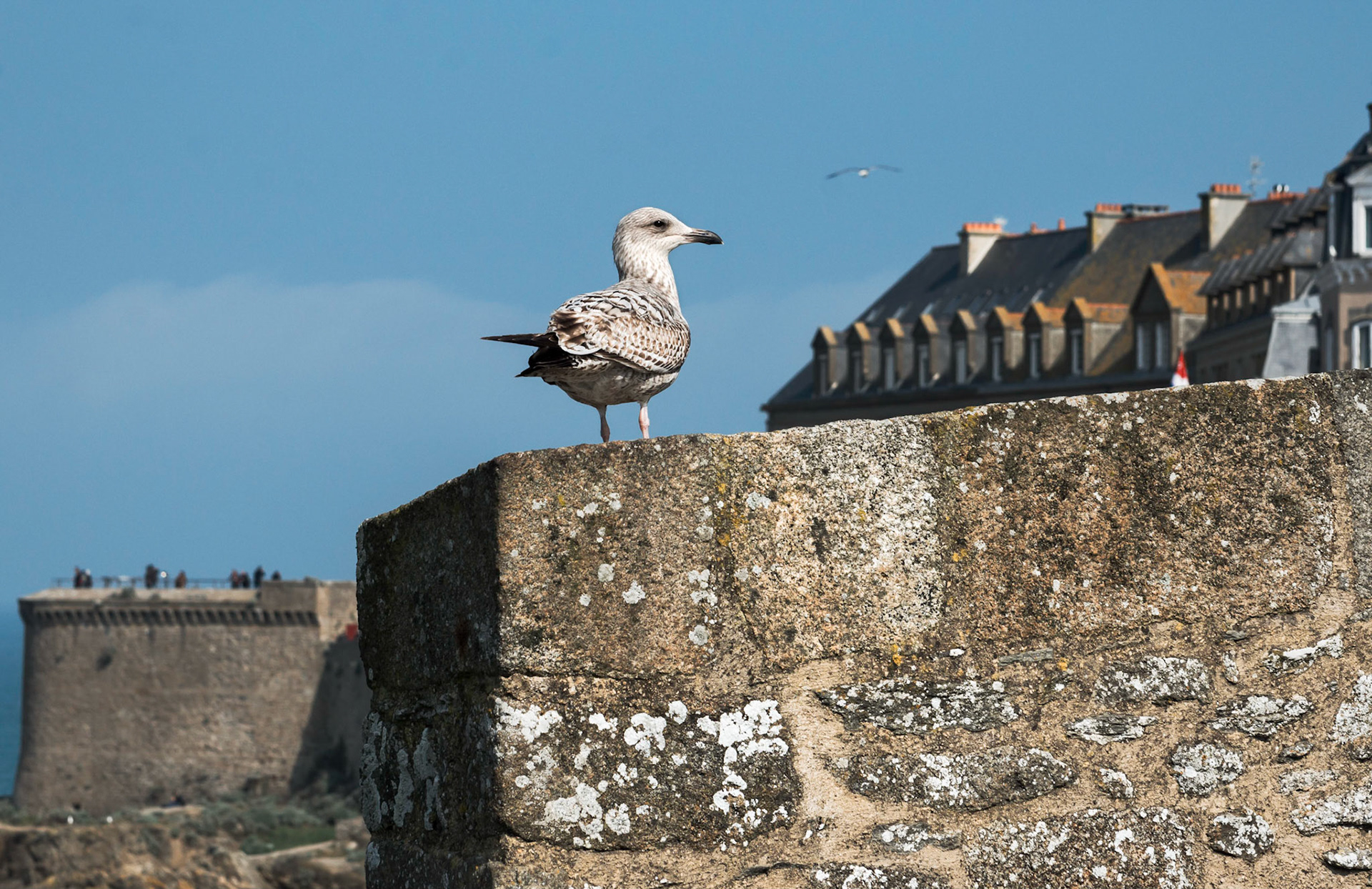 Si c'est pas typique ça...