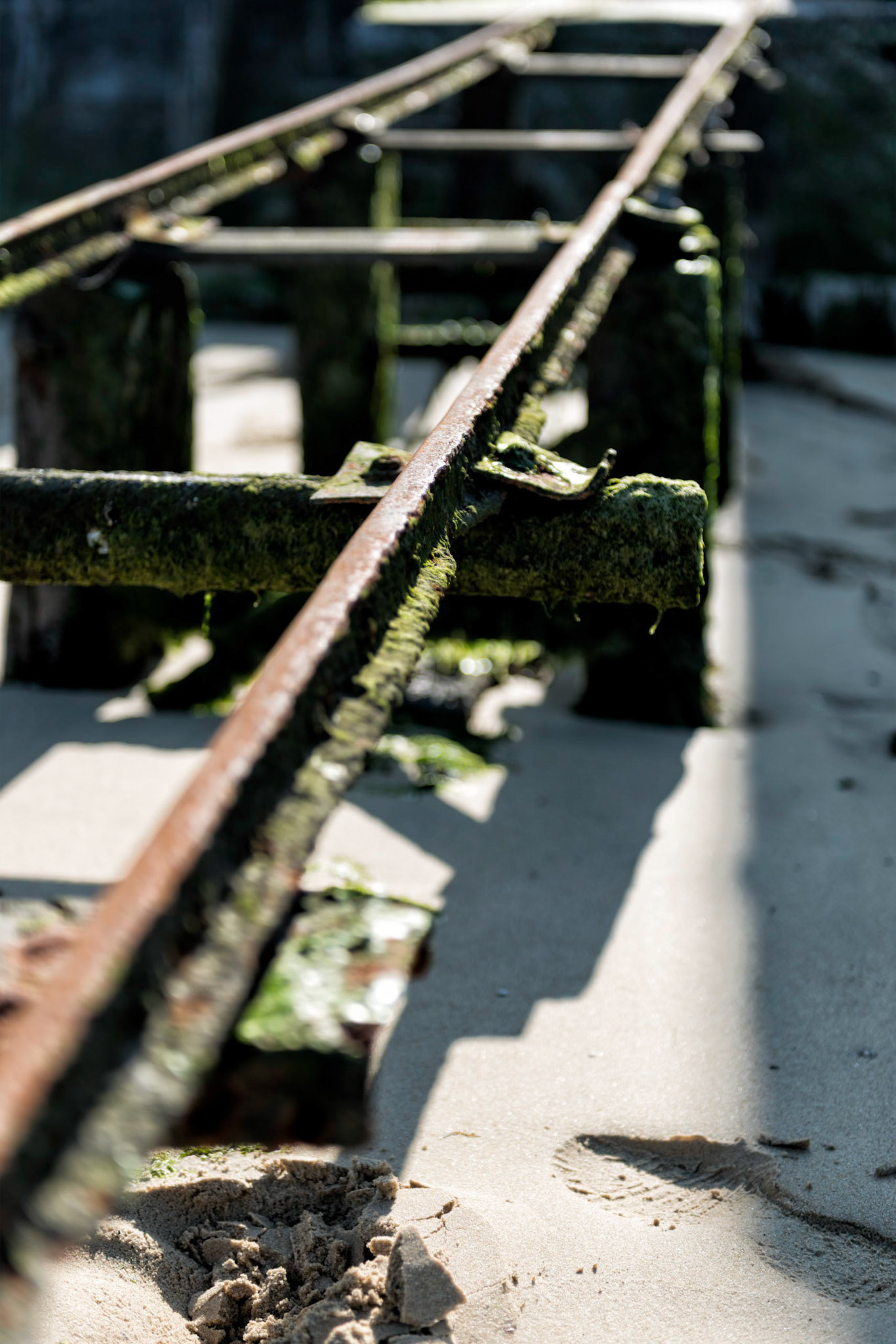 Lège-Cap-Ferret : chemin de fer ostréicole à Piraillan