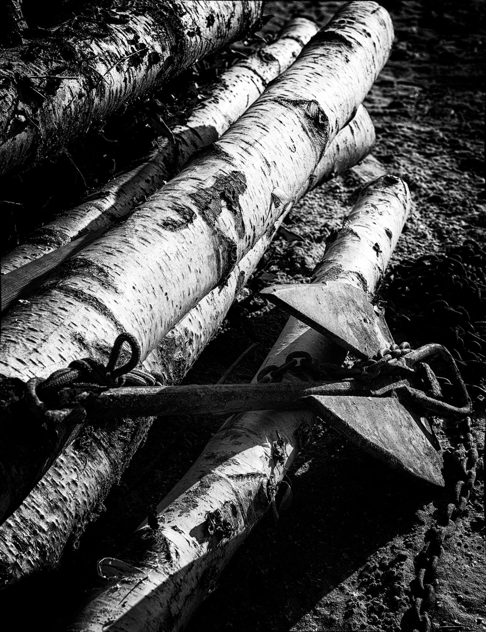 Lège-Cap-Ferret : rencontre de la terre et de la mer à l'Herbe