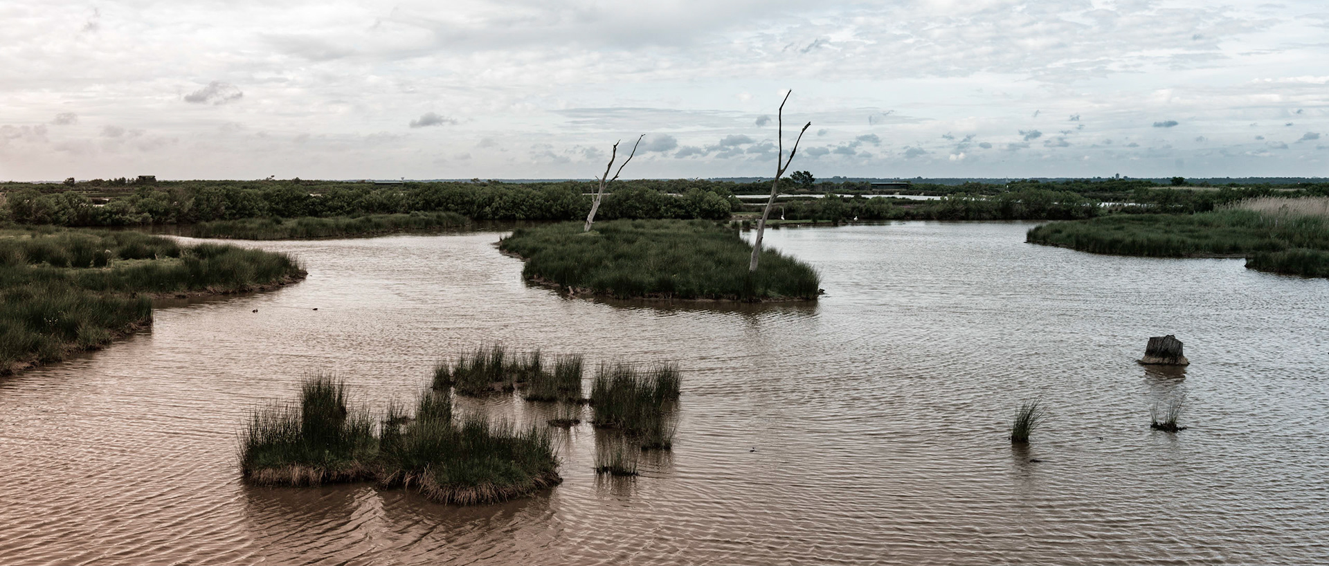 Le temps hésite sur la réserve ornithologique du Teich