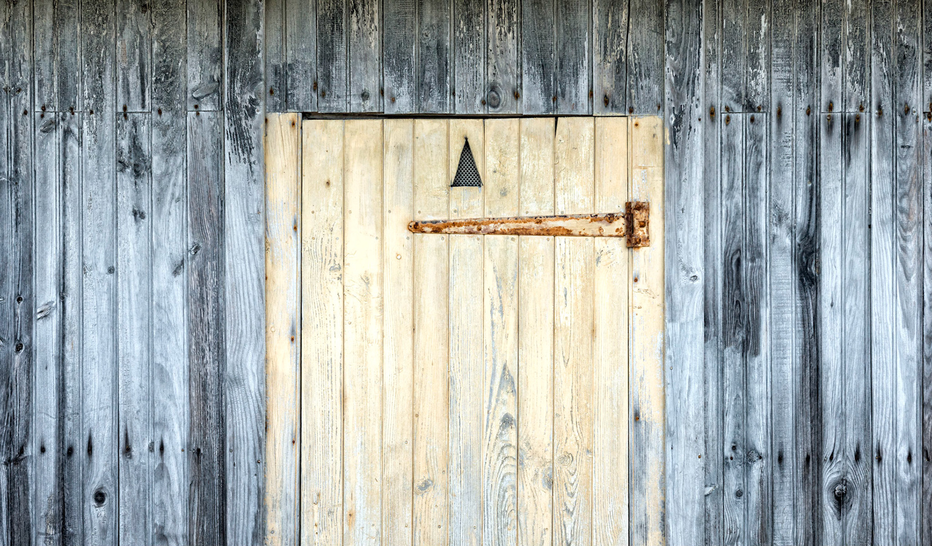La porte jaune d'une cabane ostréicole du Cap-Ferret