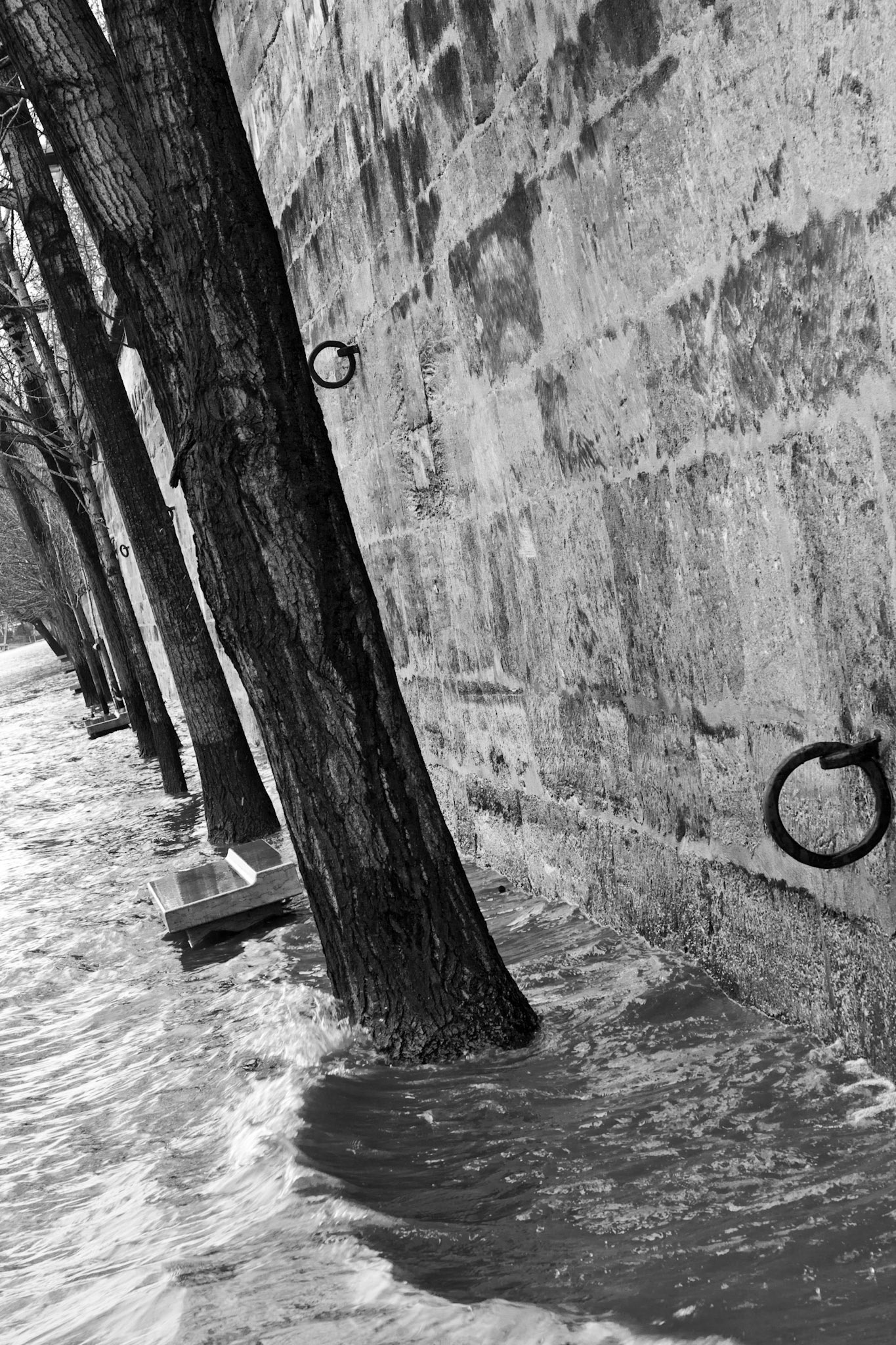 Paris : quai des Tuileries - crue hiver 2010