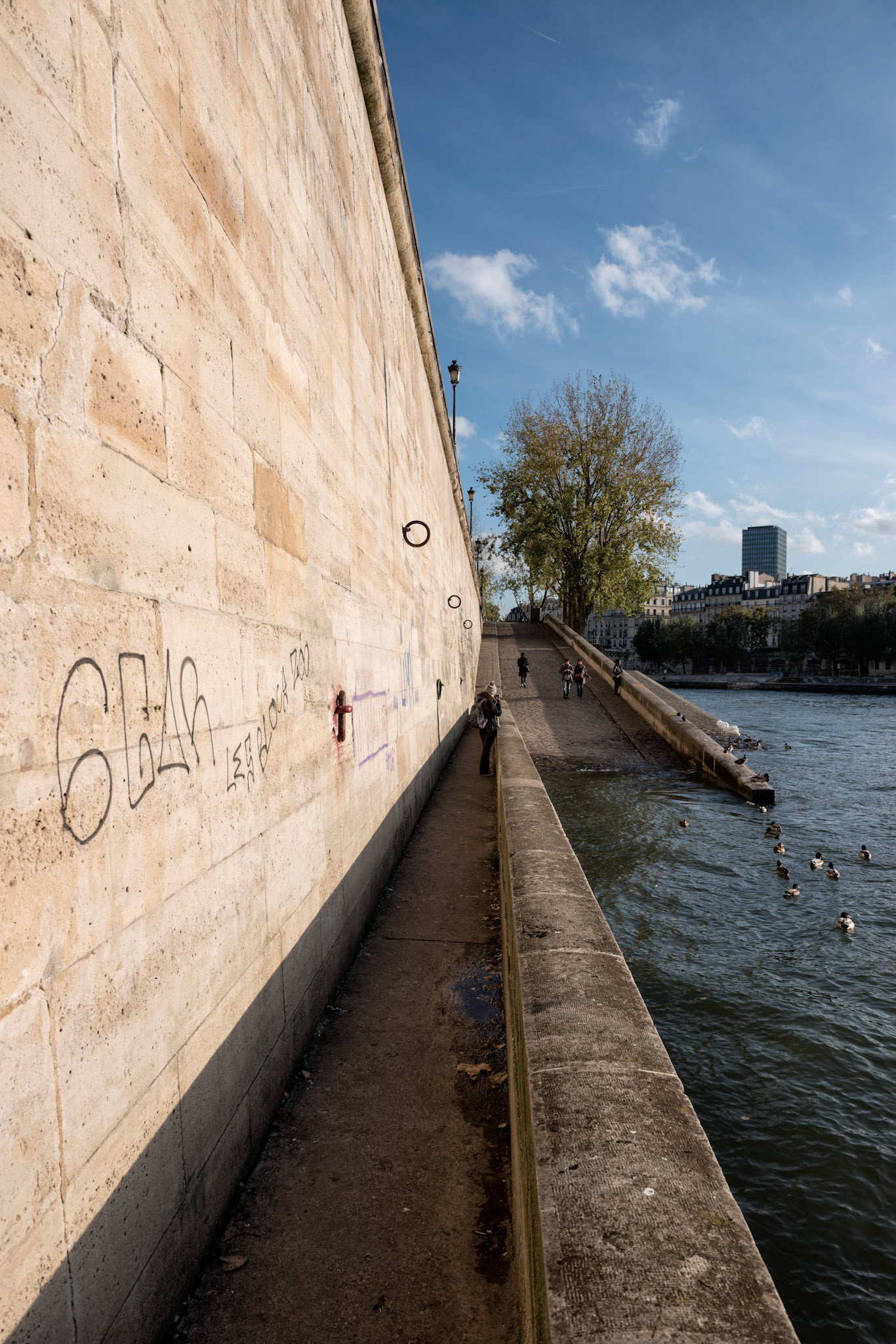 Paris : en contrebas du Quai d'Orléans