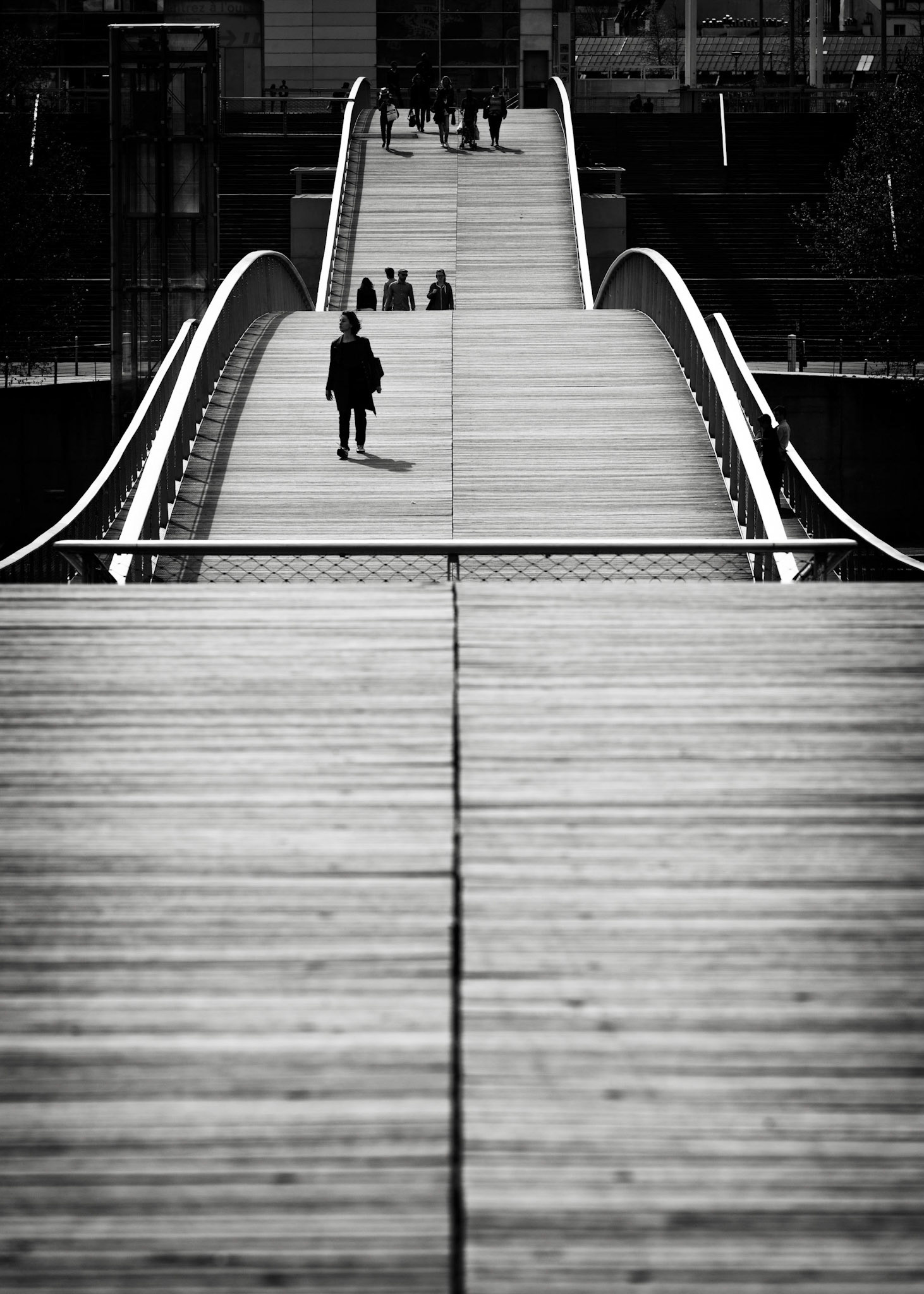 La Seine : Passerelle Simone de Beauvoir