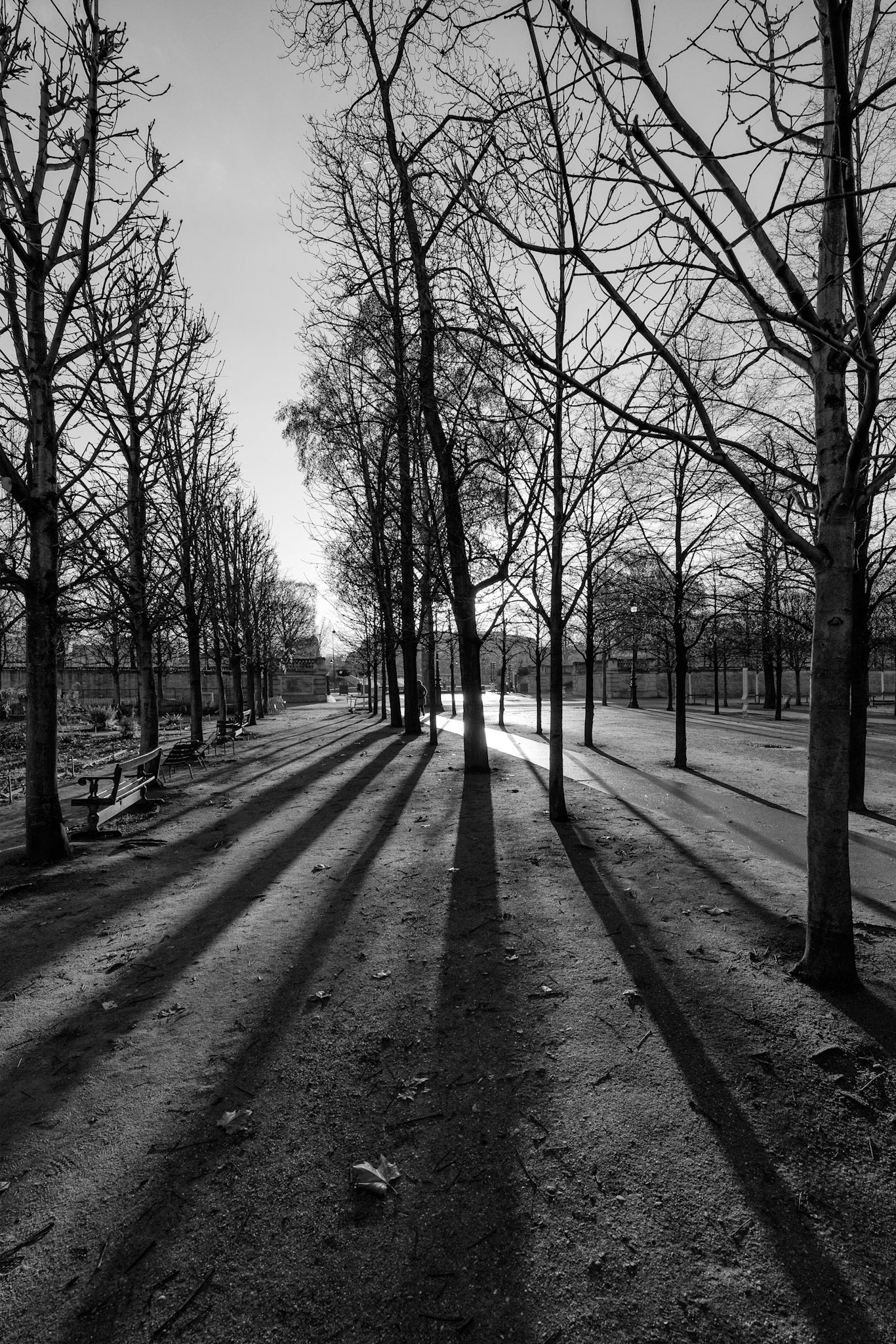 Tuileries : Allée de Solférino vers la Seine