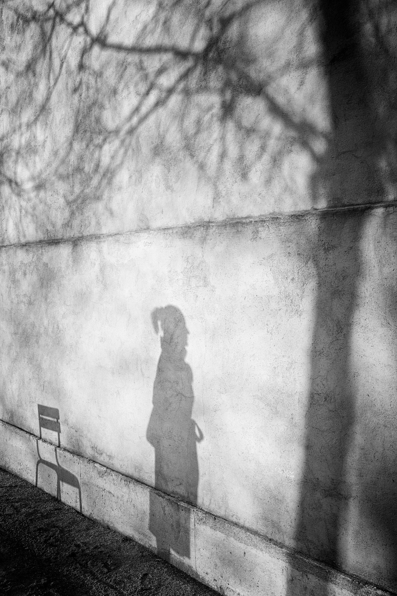 Tuileries : ombres d'hiver sur le musée de l'Orangerie