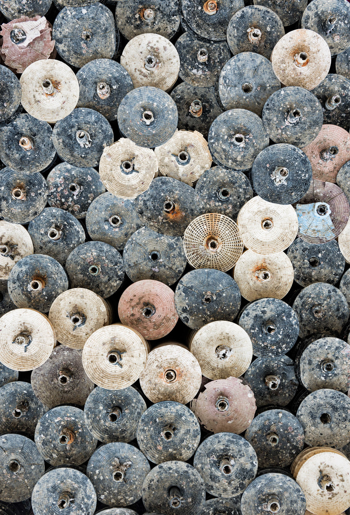 Cap-Ferret : coupelles d'ostréiculture