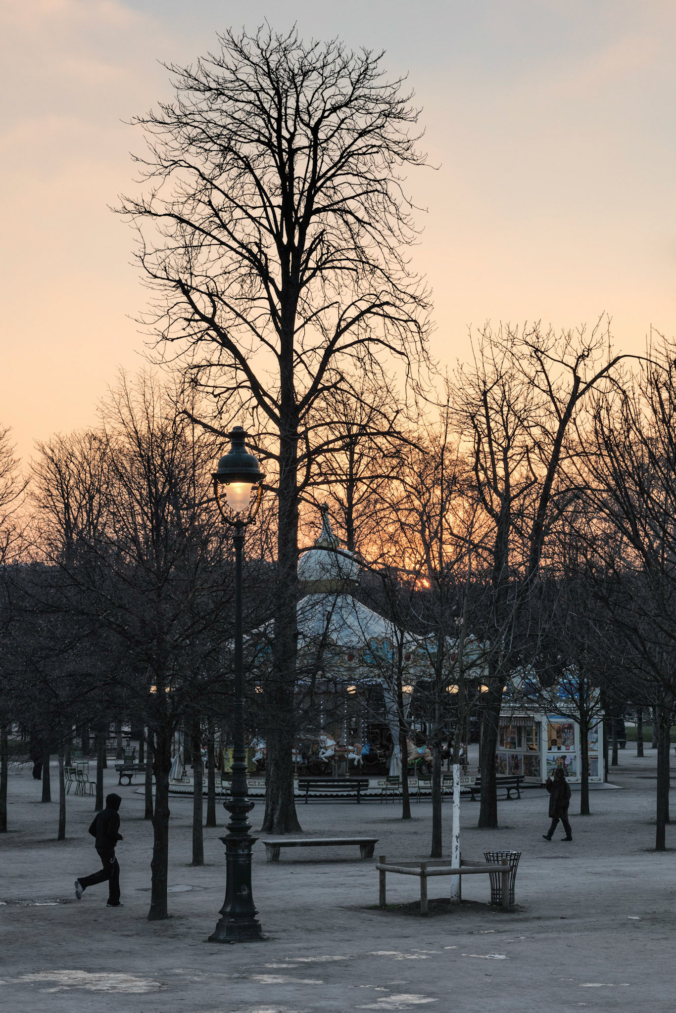 Tuileries : le manège