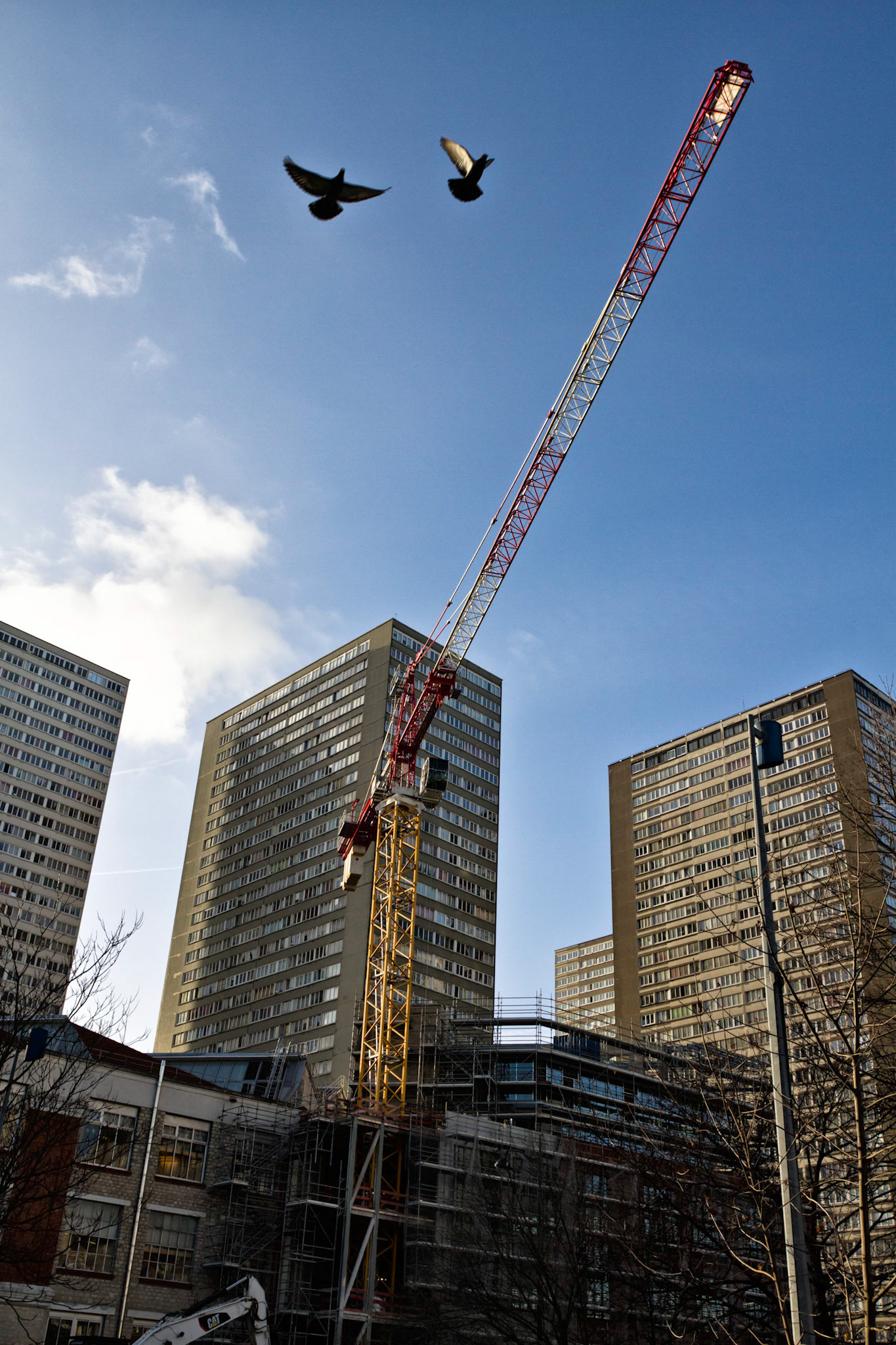 Paris : tours de l'avenue d'Ivry (13ème)