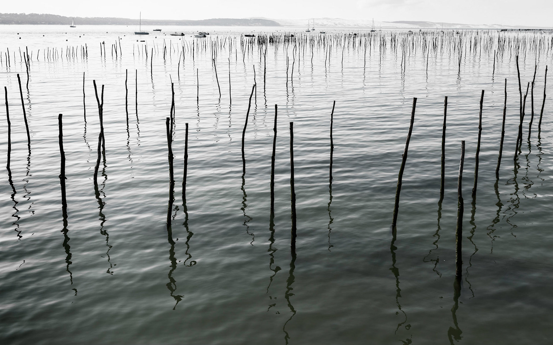 Lège-Cap-Ferret : champs ostréicoles à Bélisaire