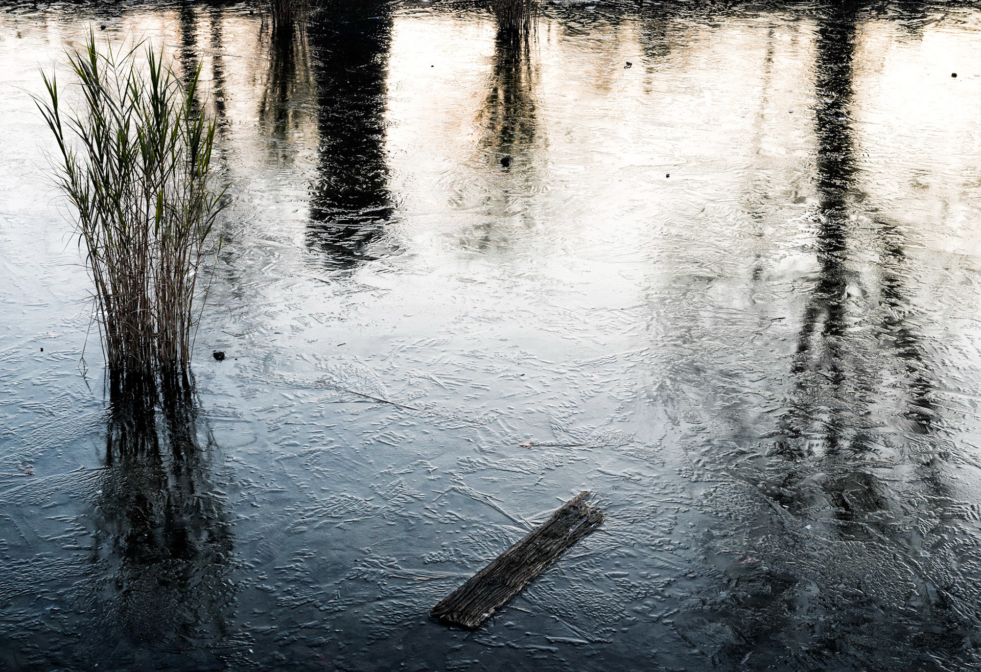 Tuileries : bassin gelé