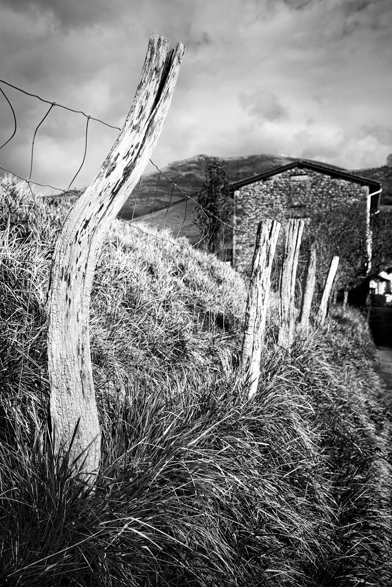 Pays Basque : chemin creux à Ainhoa
