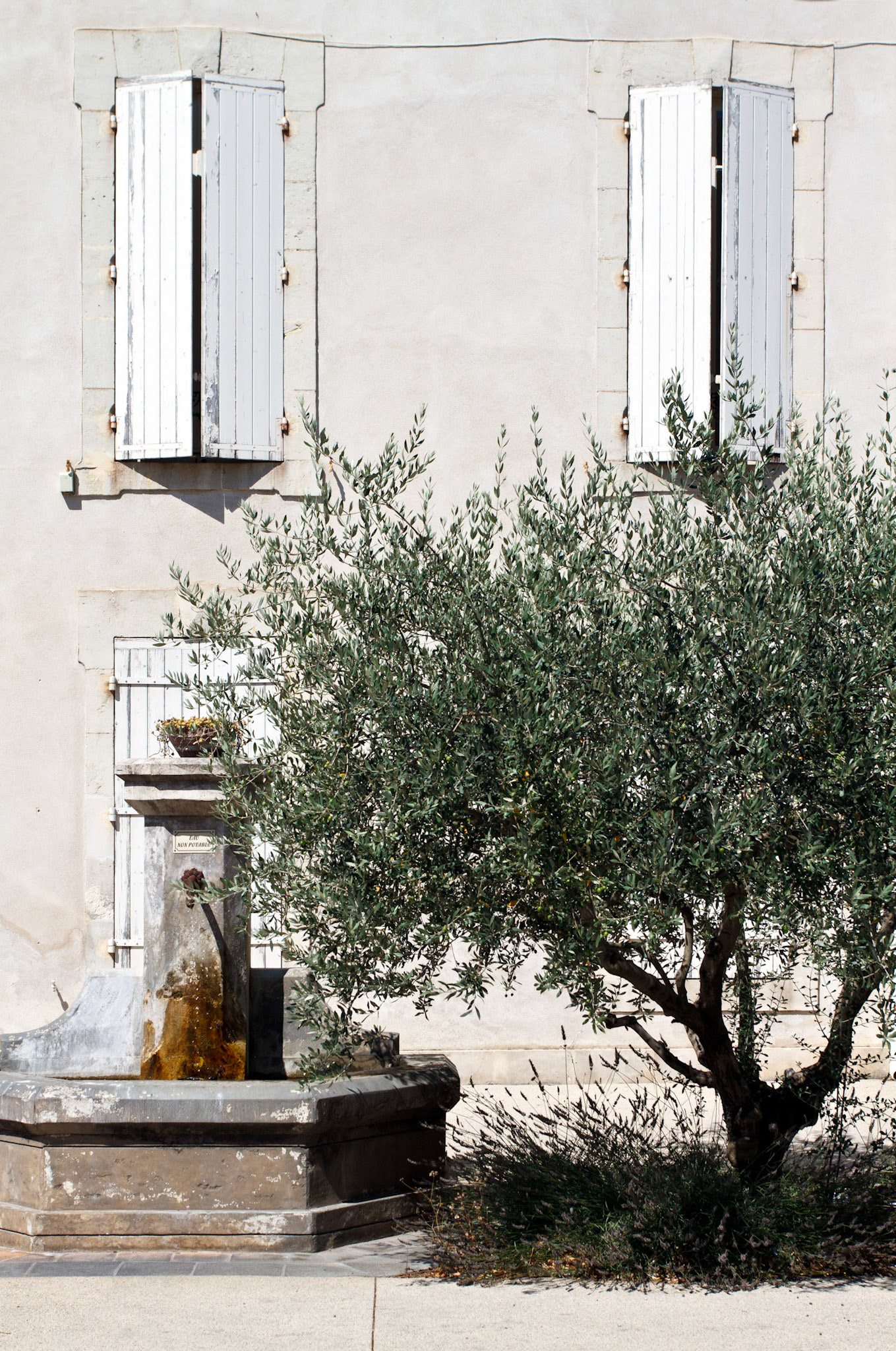 Sainte-Cécile-les-Vignes : symboles de Provence