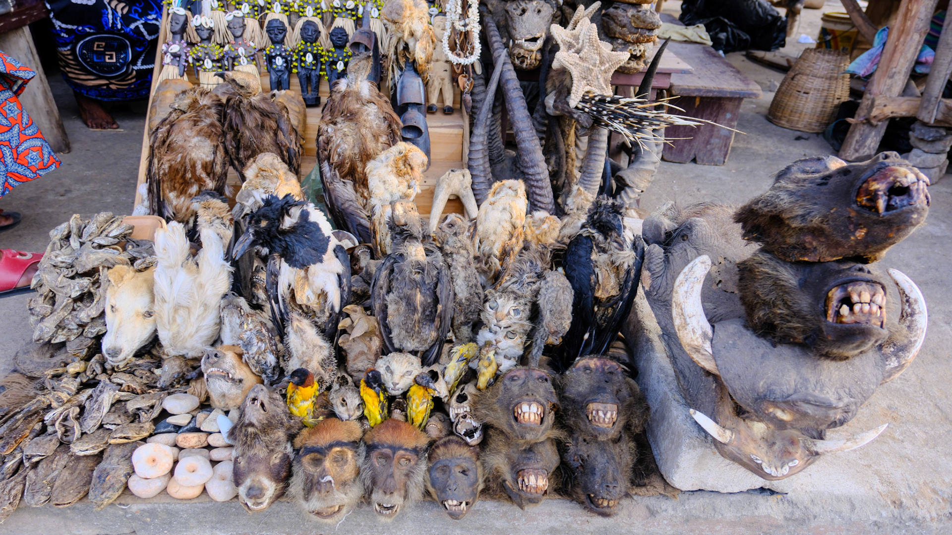 Voodoo Fetish Market in Togo