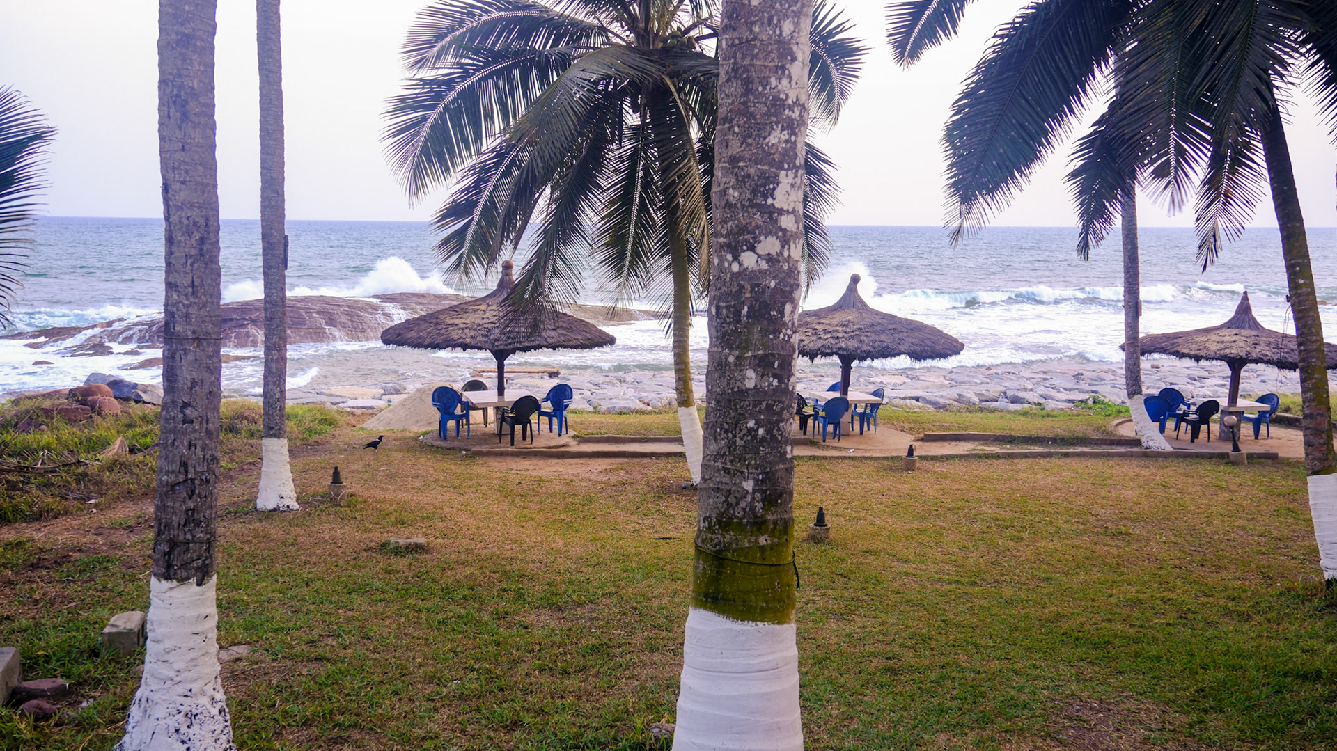 Coconut Grove Beach
