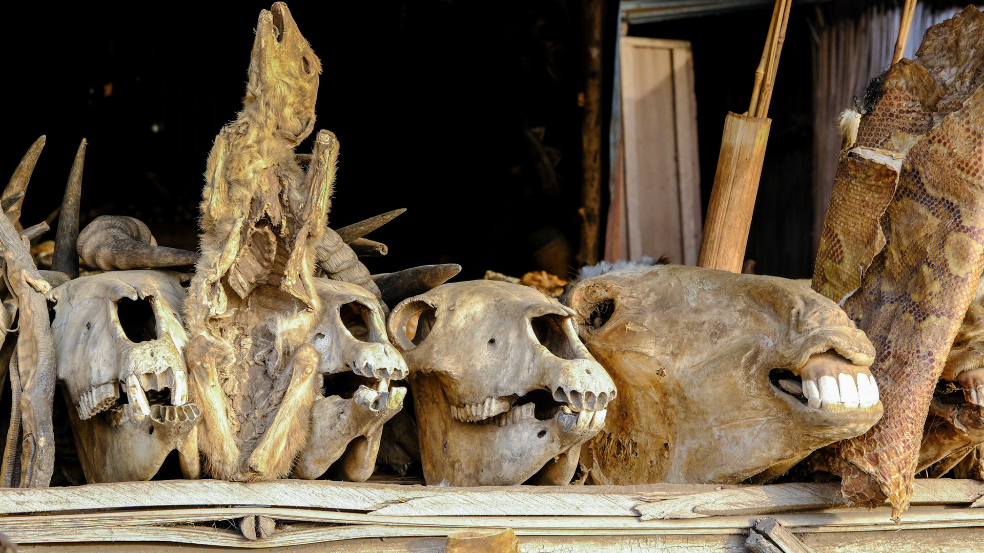 Voodoo Fetish Market in Togo