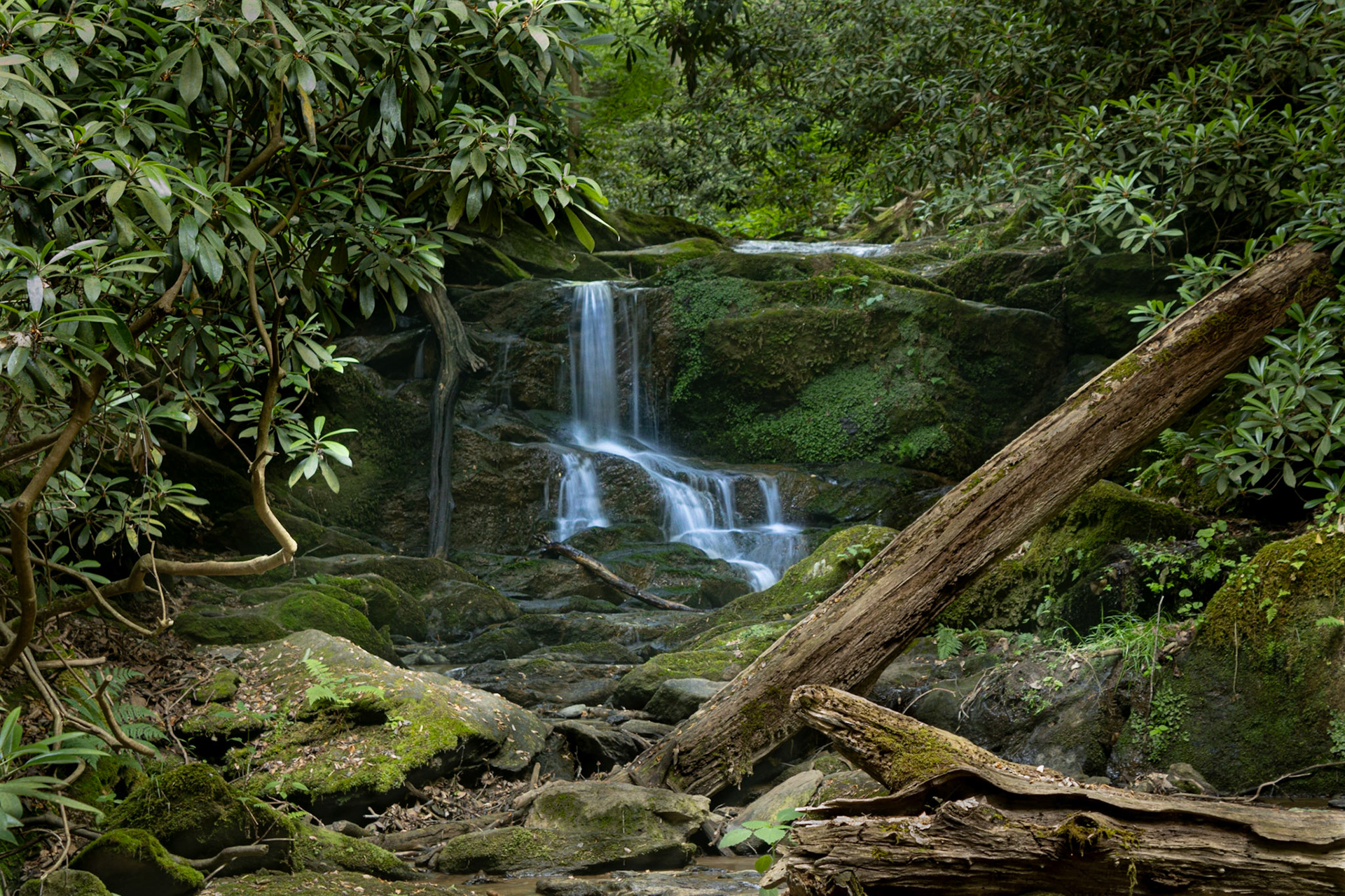 Hidden Falls